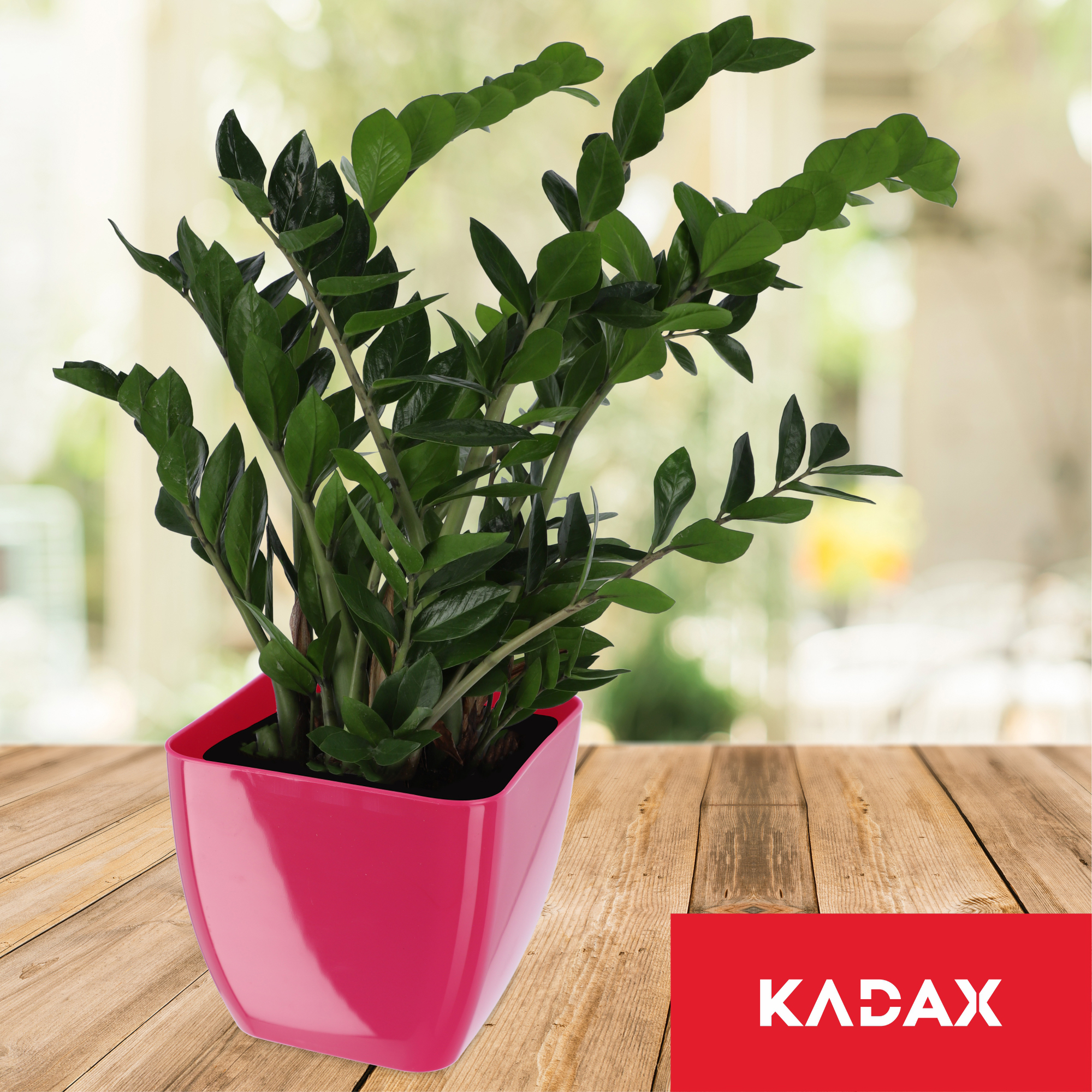 Doniczka kwadratowa Borgo 16 cm, różowa