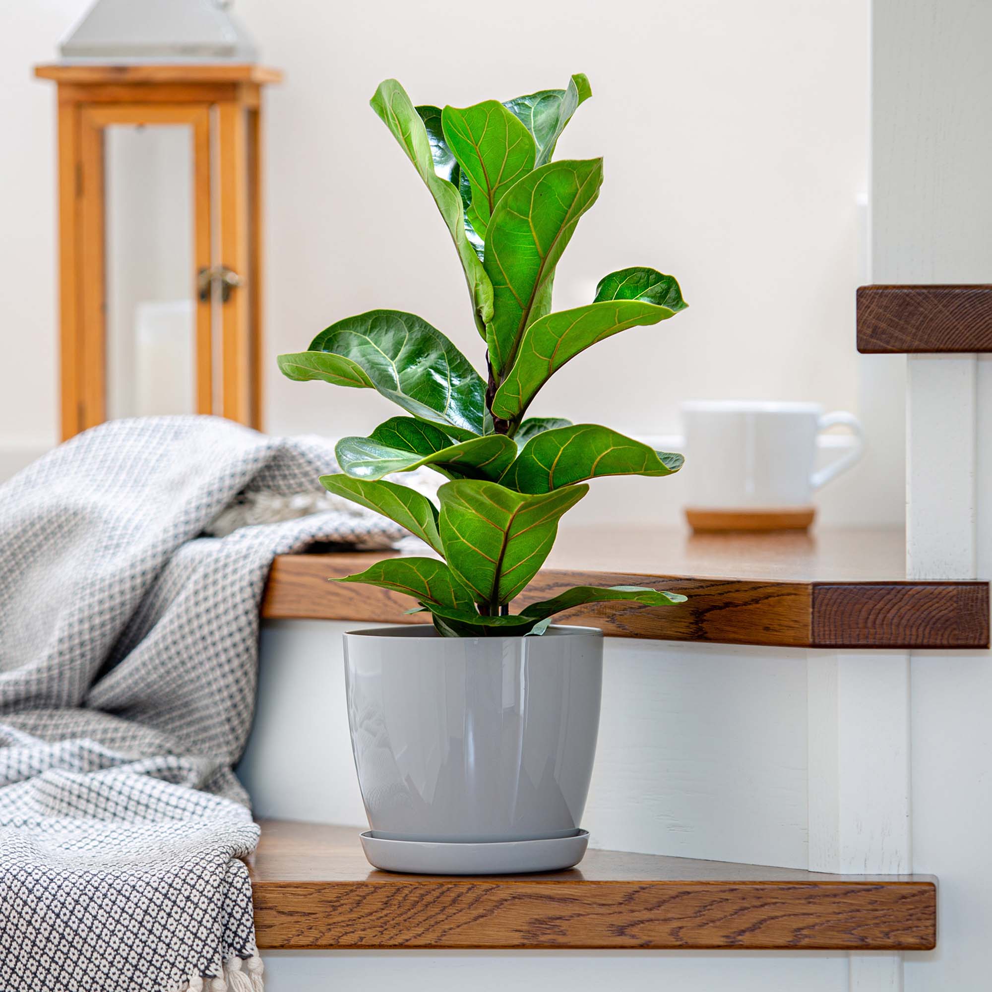 Doniczka Agen z podstawką szara 18 cm, 3 szt.