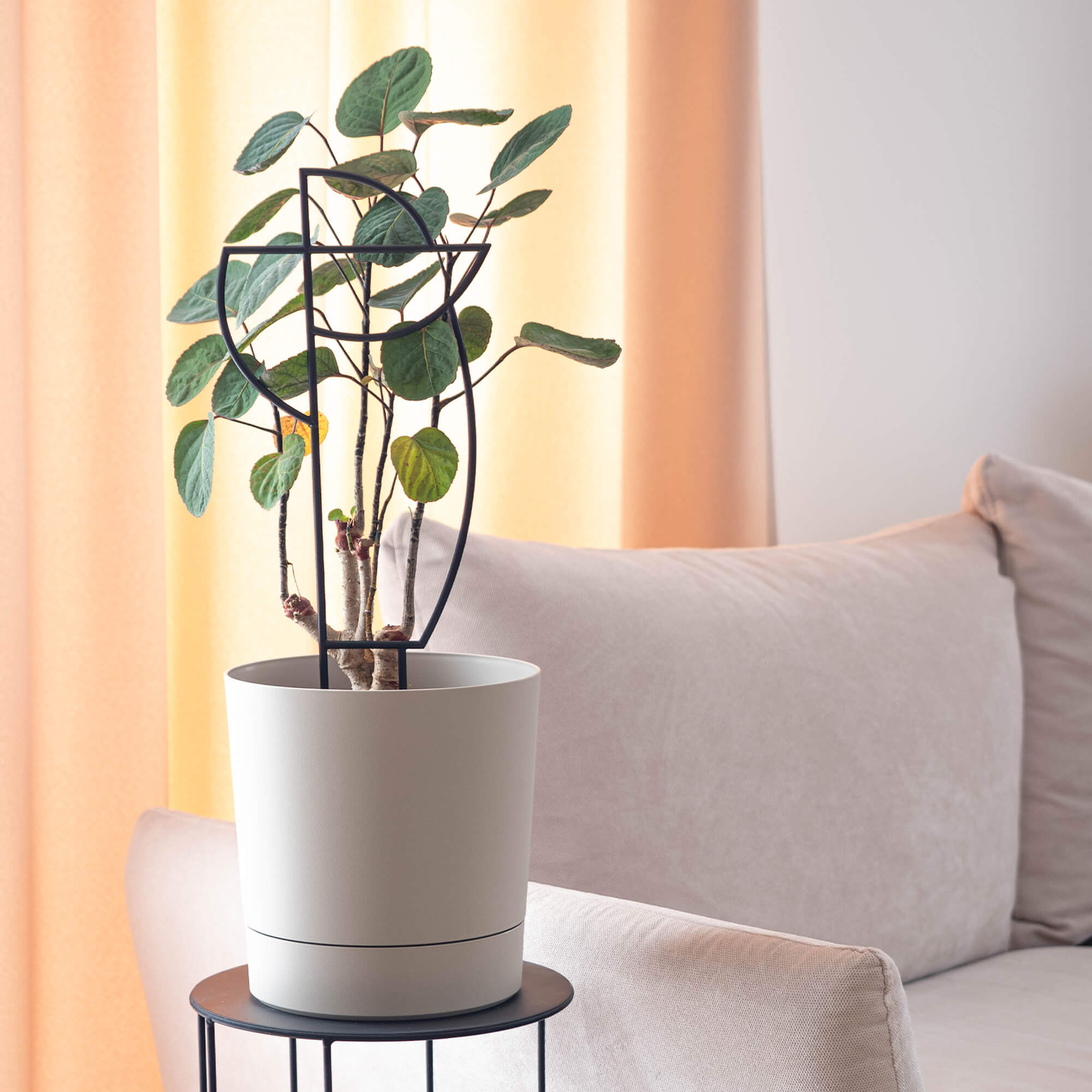 Podpórki do roślin Cerreto geometryczne 43 cm czarne