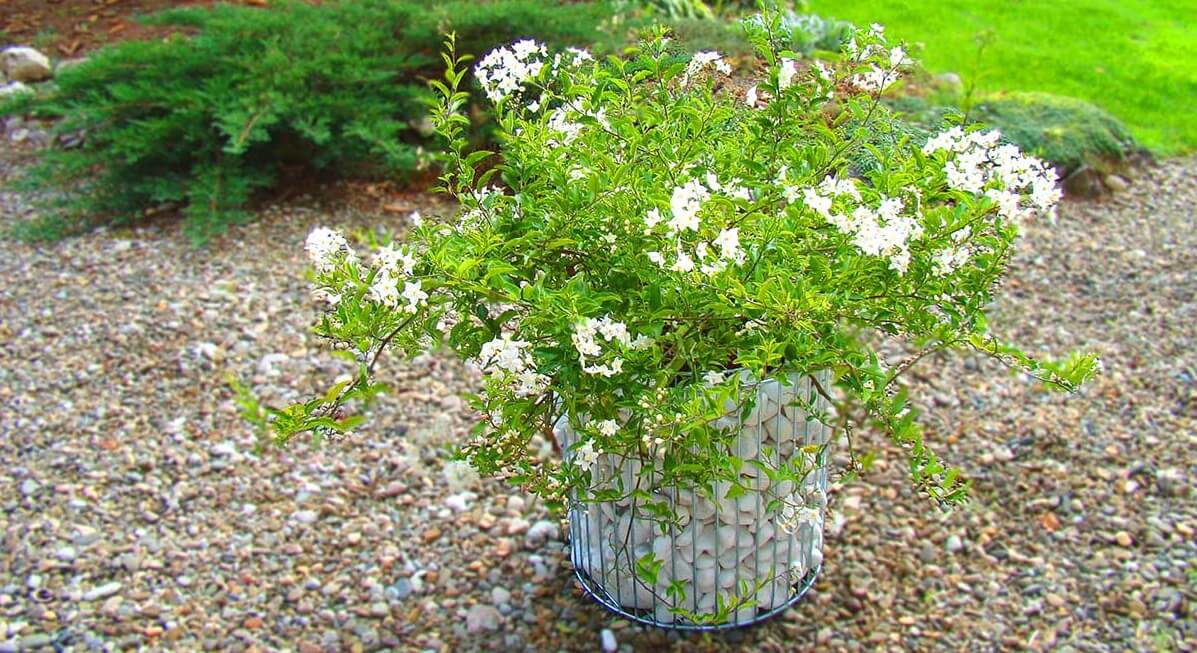 Donica gabionowa 48 x 39 cm