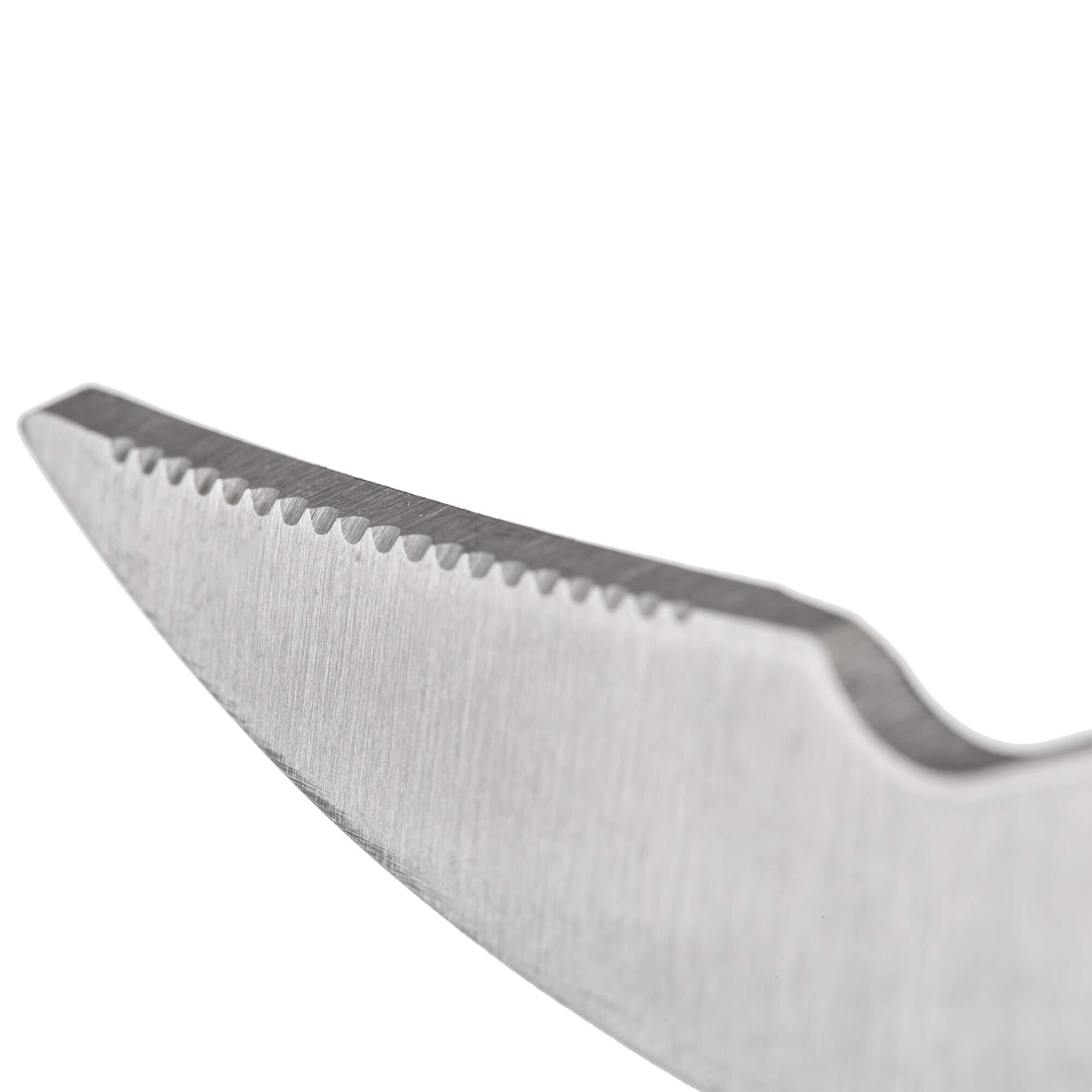 Stalowe nożyczki kuchenne do drobiu 25 cm