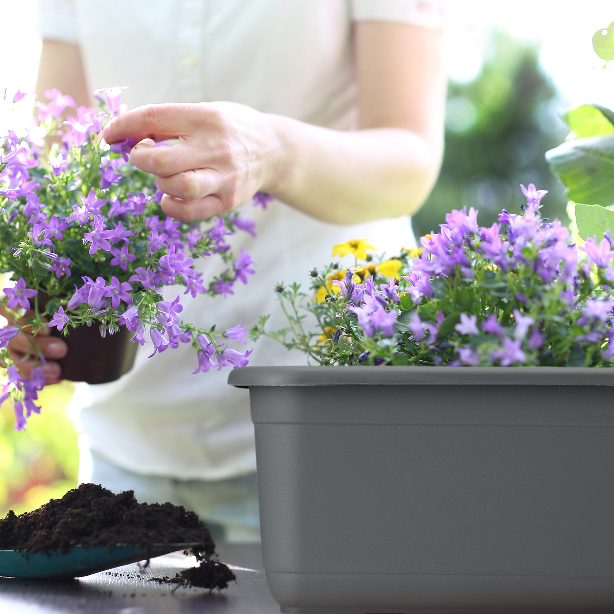 Skrzynka balkonowa Evron 80 cm, antracyt