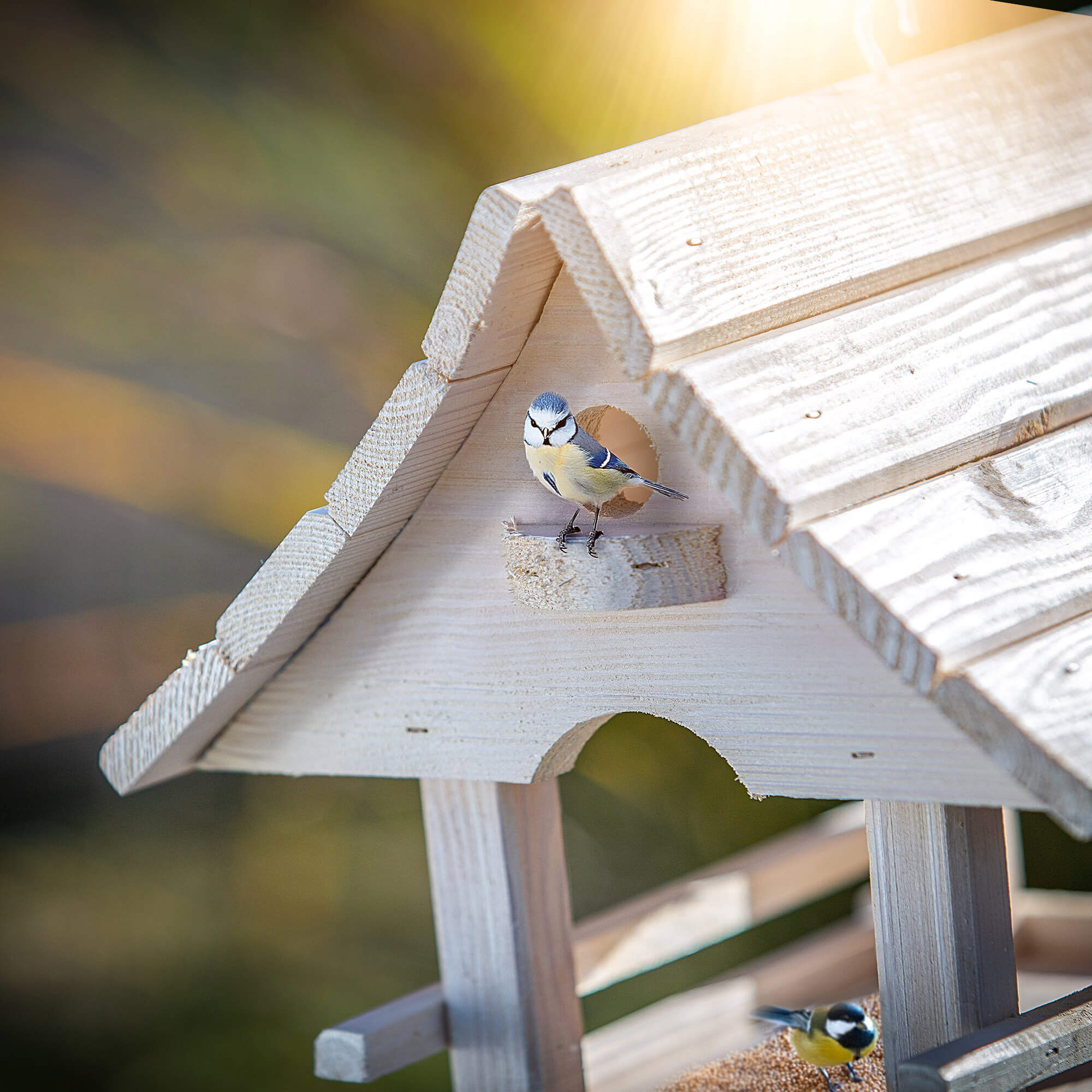 Karmnik dla ptaków Arbis domek 30 x 25 cm biały