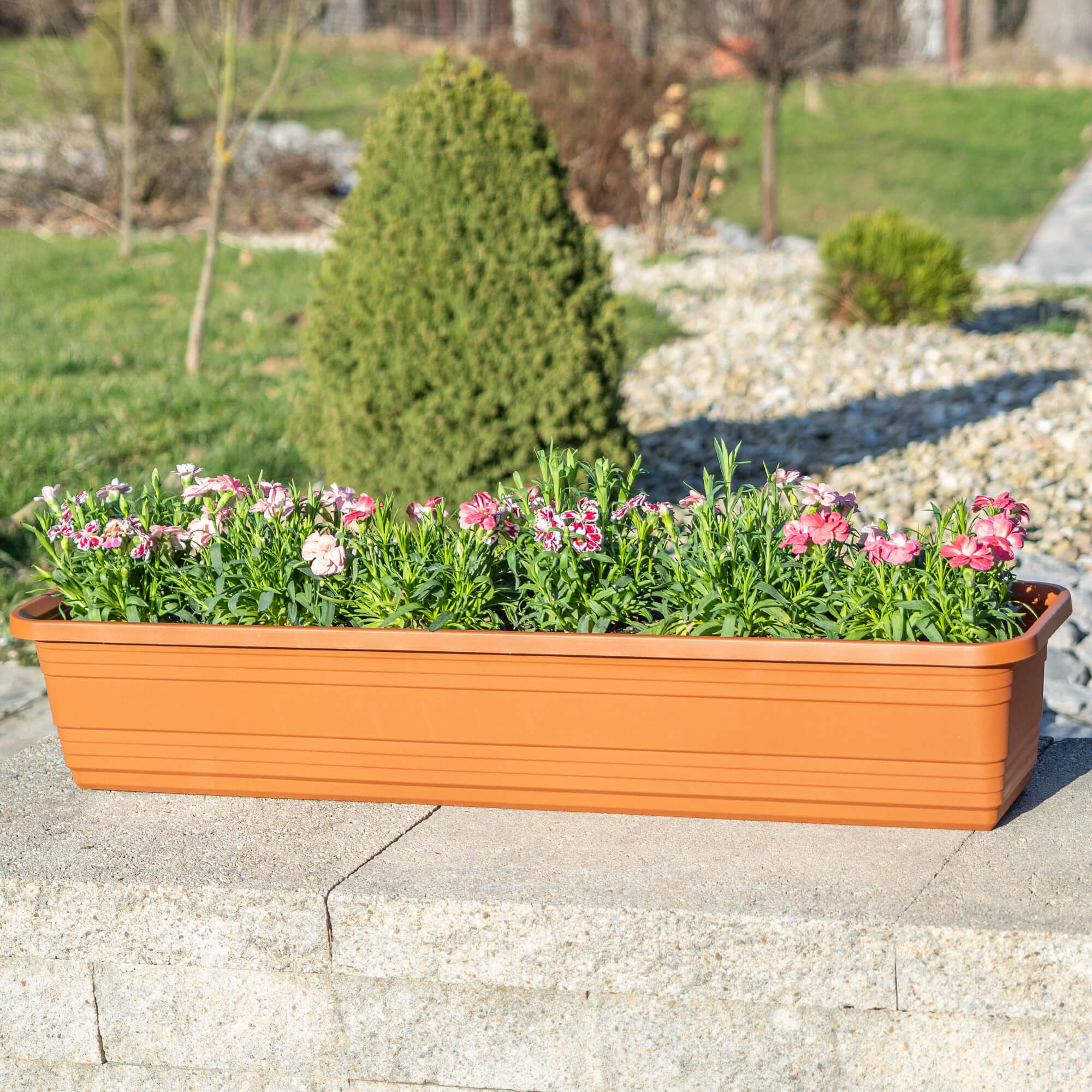 Skrzynka balkonowa Paulin 50cm terrakota