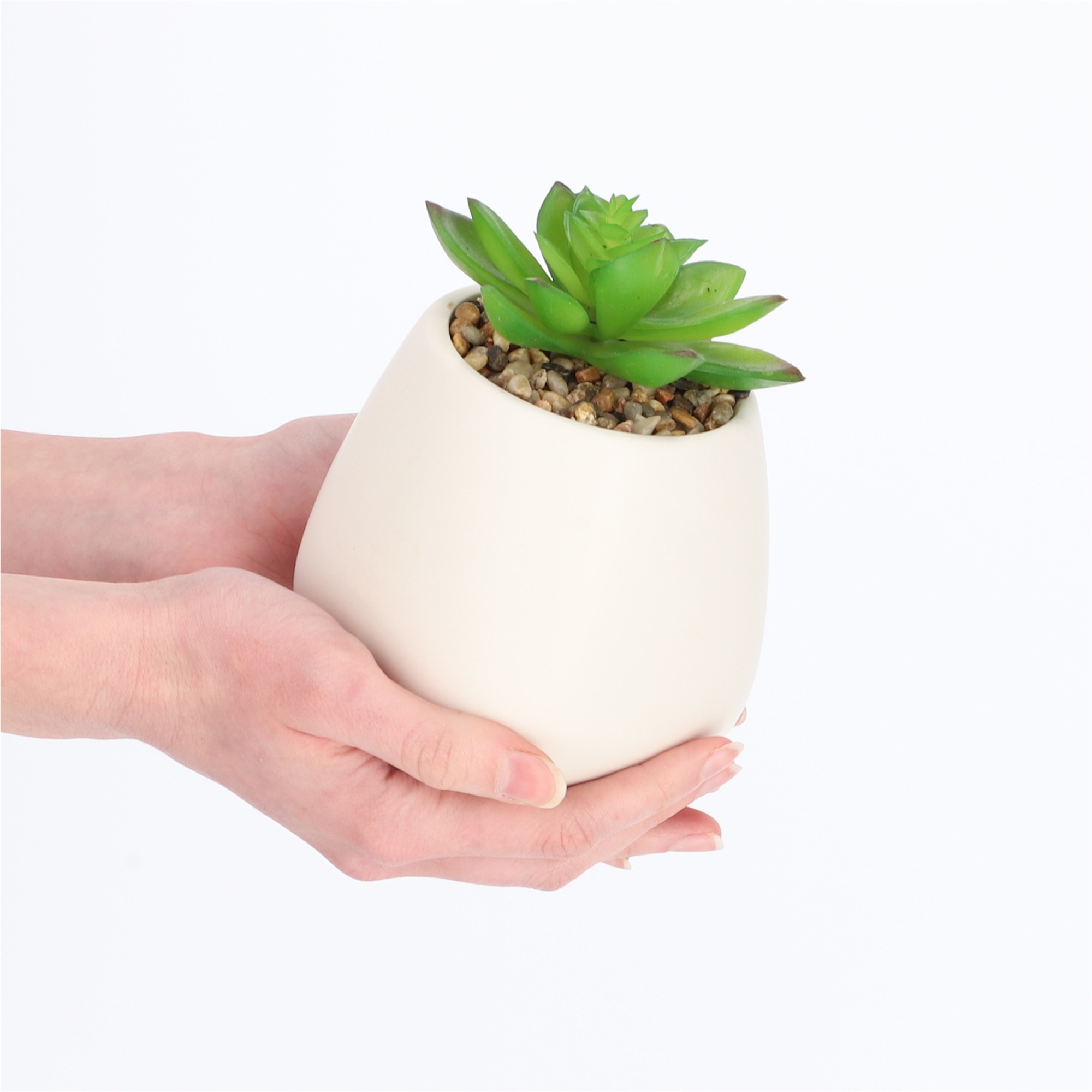 Sztuczny sukulent Rouy, 10,5 cm, biały