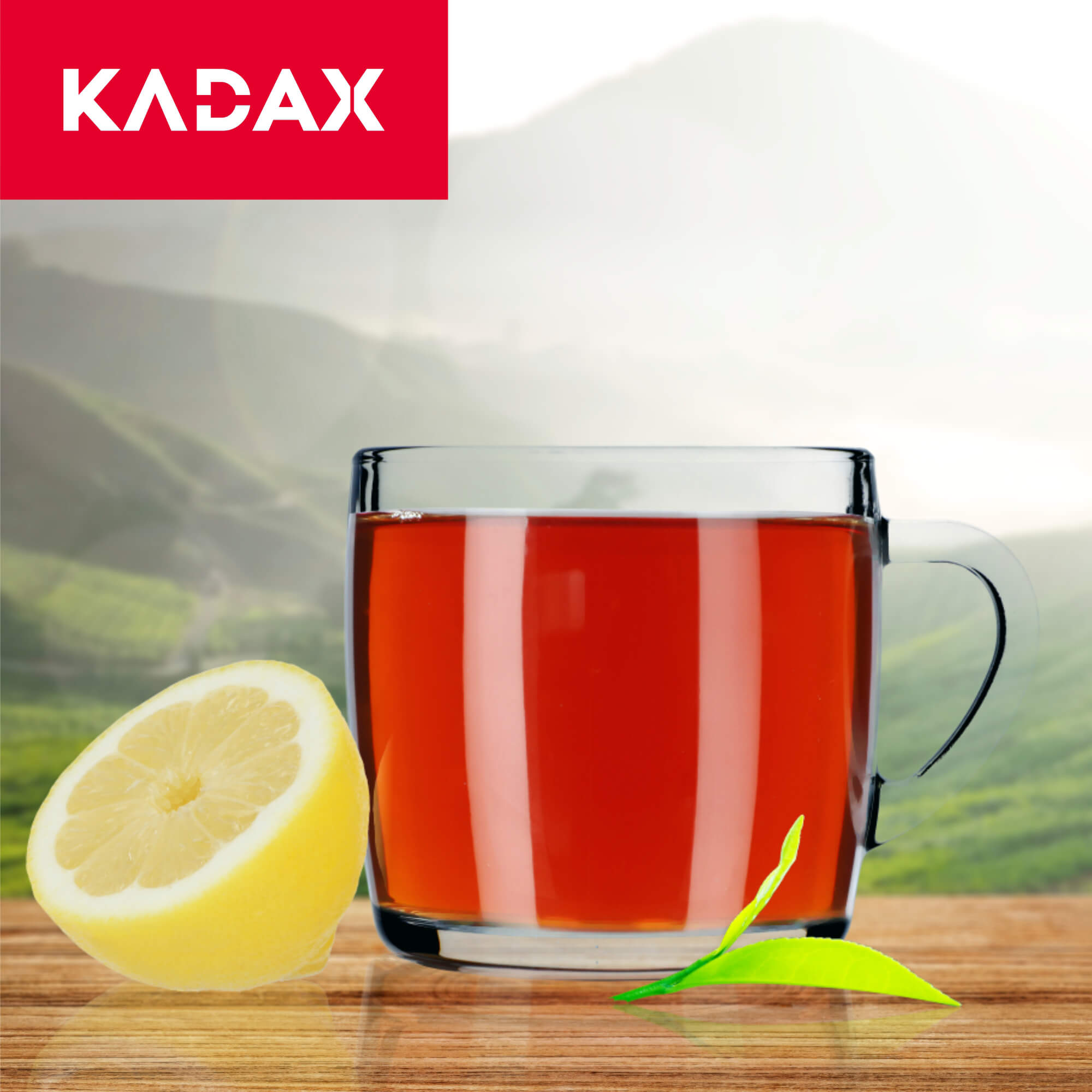 Kubki do kawy i herbaty Barnico 310 ml, 6 szt.