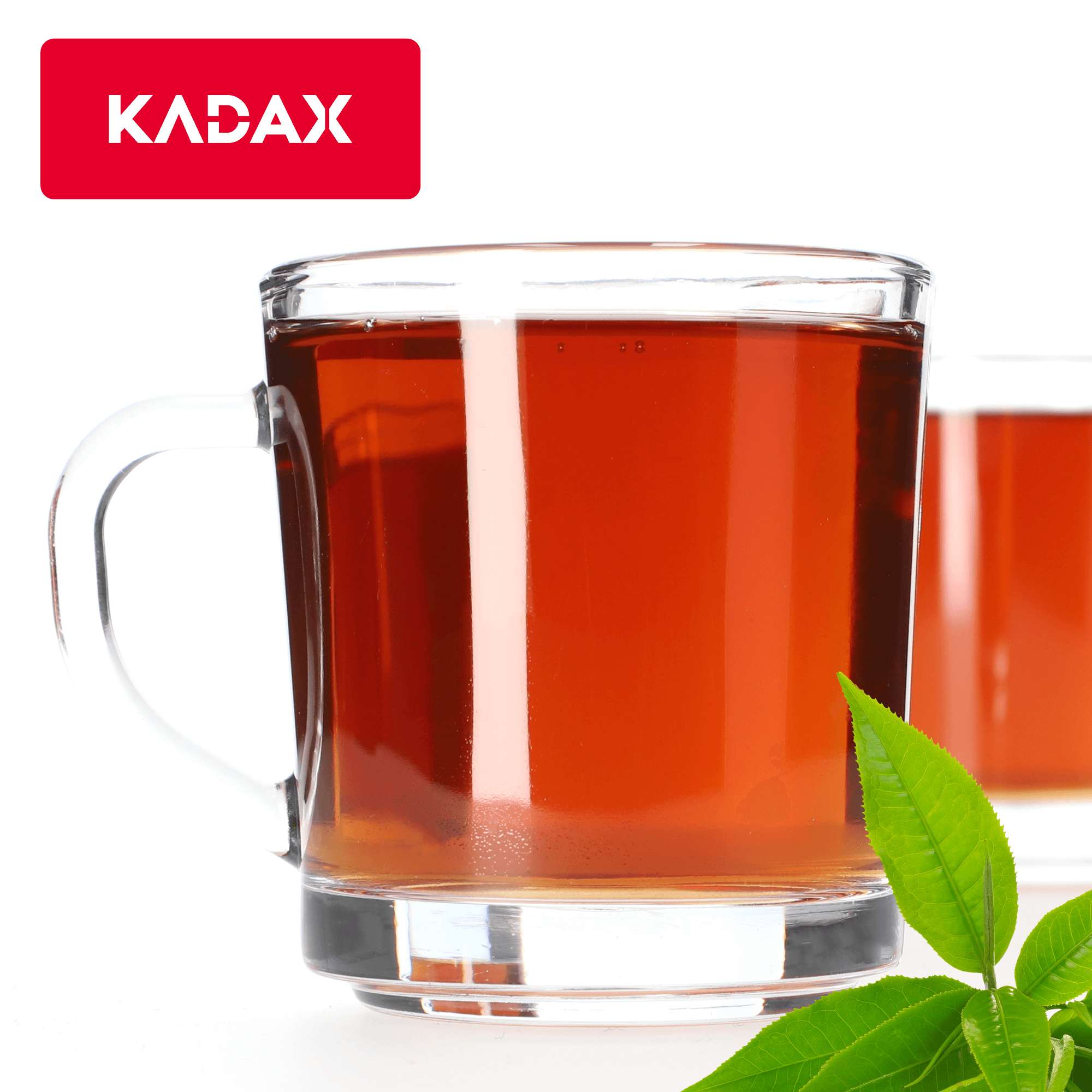 Kubki do herbaty Radal 250 ml, 12 szt.