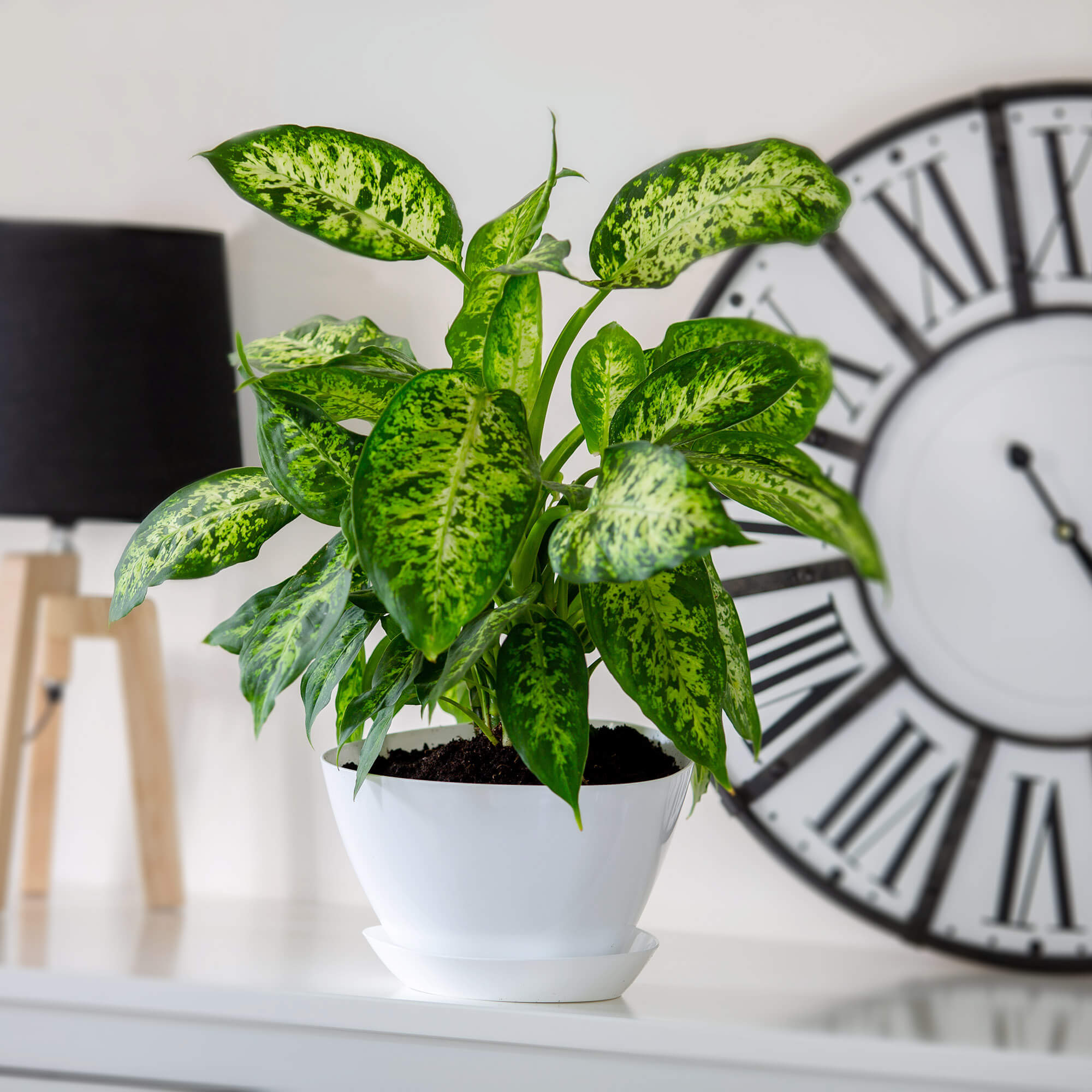 Doniczka trójkątna z podstawką 18 x 12 cm, biała