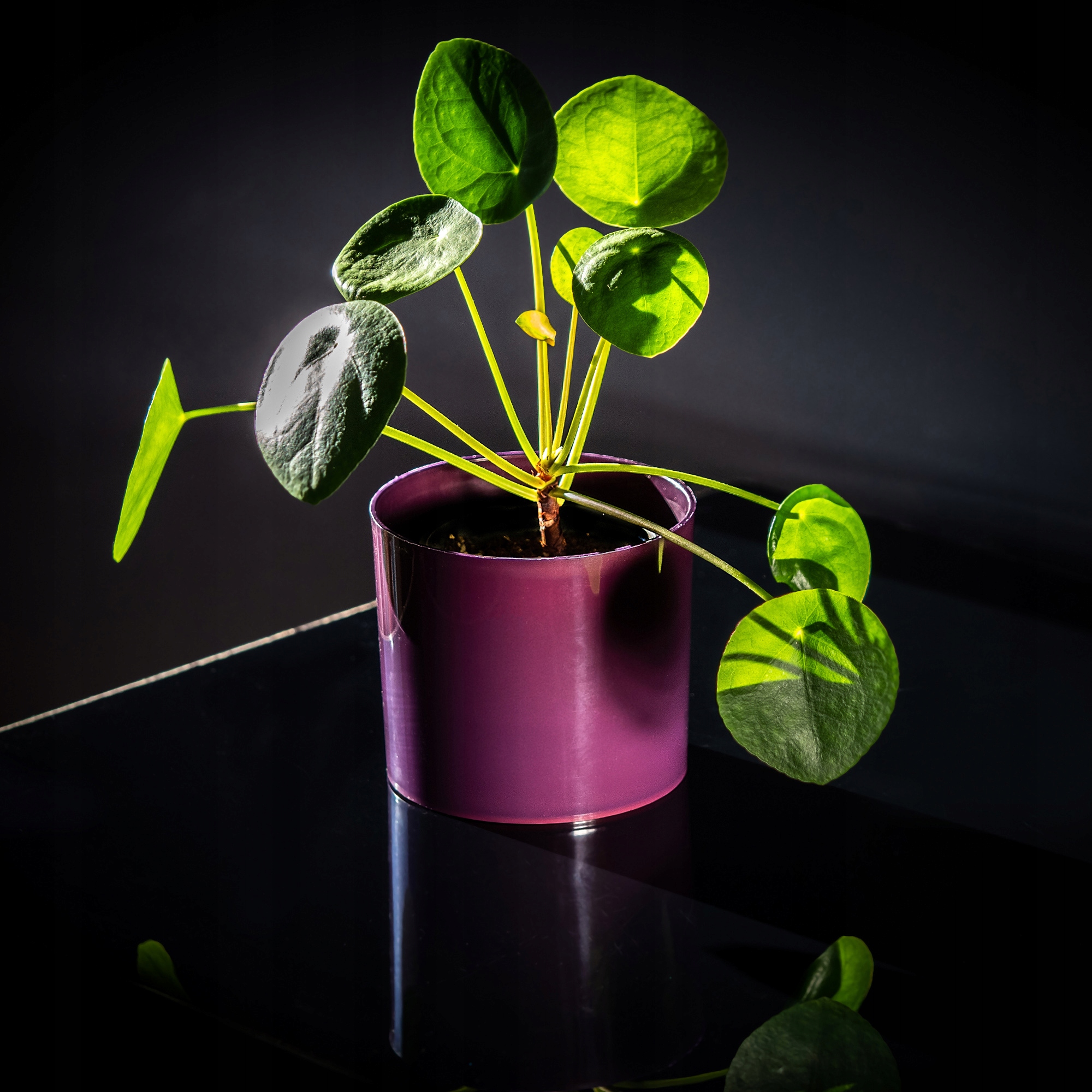 Doniczka na kwiaty okrągła Figari 11 cm, śliwkowa