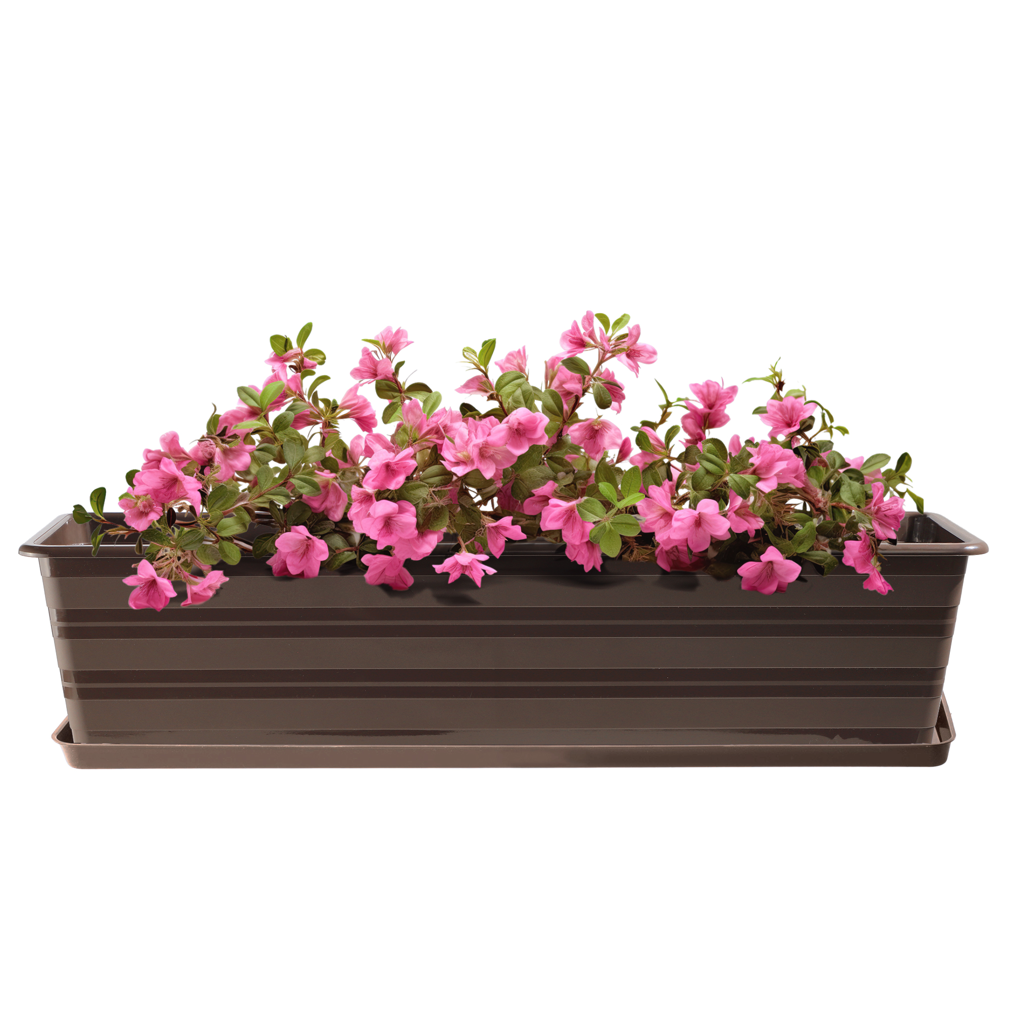 Doniczka balkonowa Cati 60 cm + podstawka 60 cm, brąz