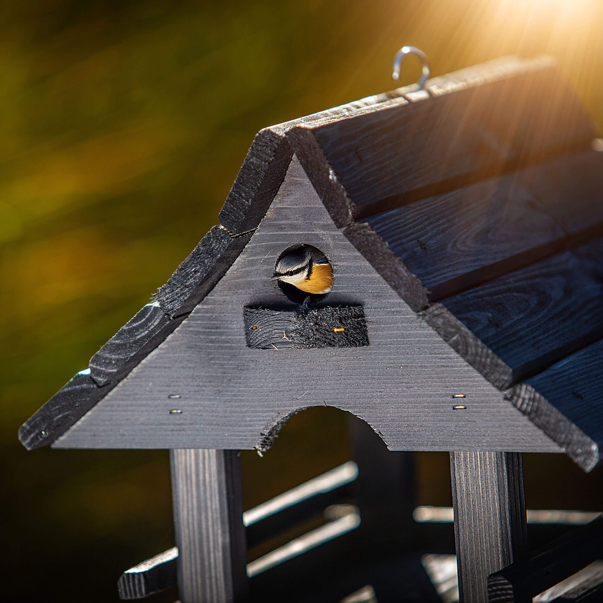 Karmnik dla ptaków Arbis domek 30 x 25 cm antracytowy