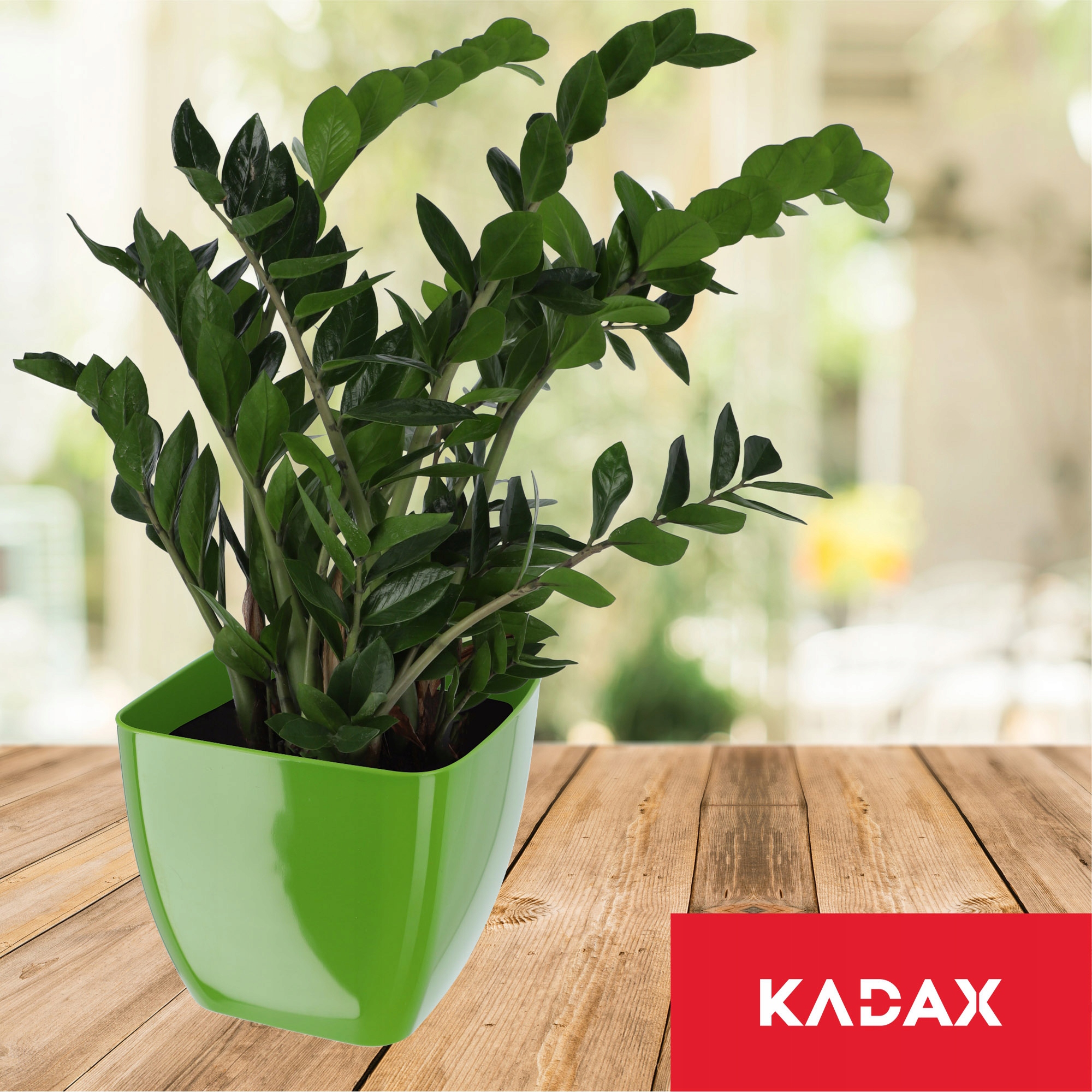 Doniczka kwadratowa Borgo 14 cm, zielona