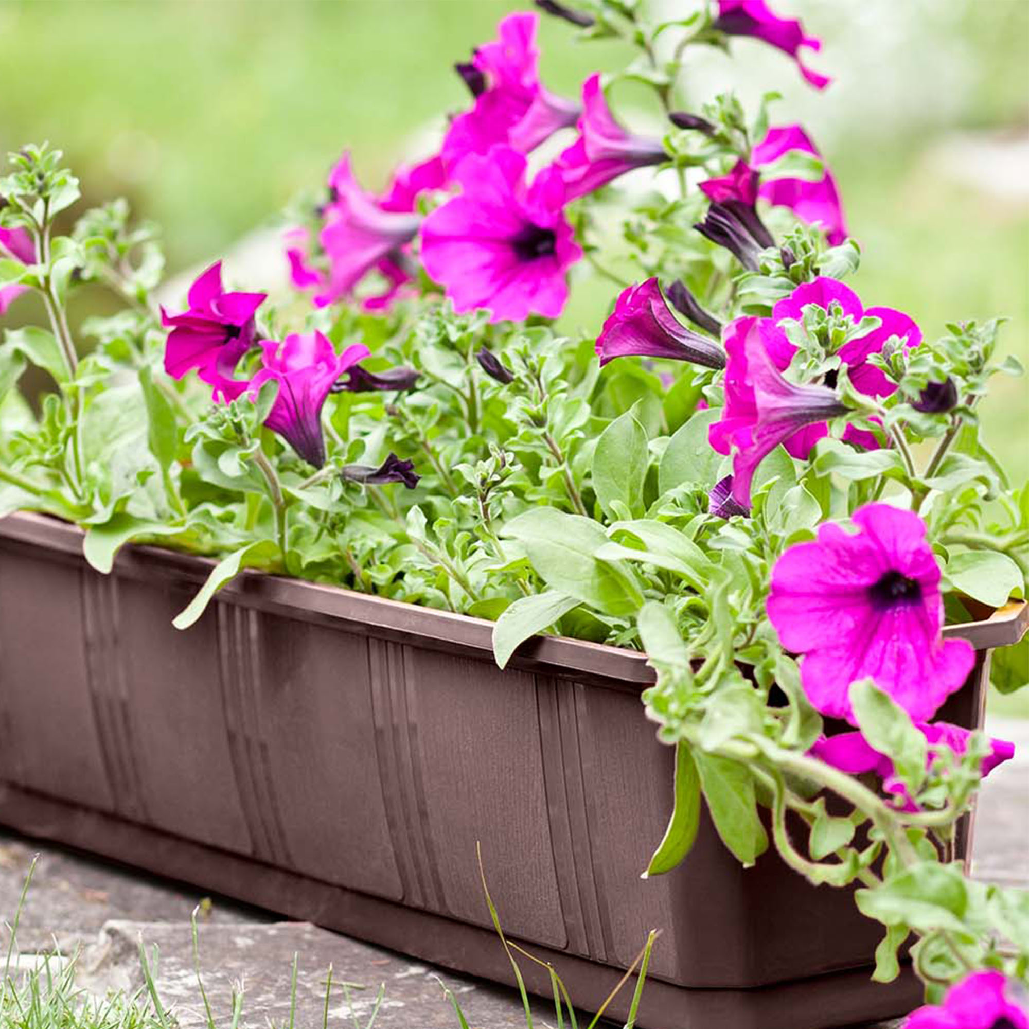 Doniczka balkonowa z uchwytami brązowa Oste 80 cm, 3 szt.