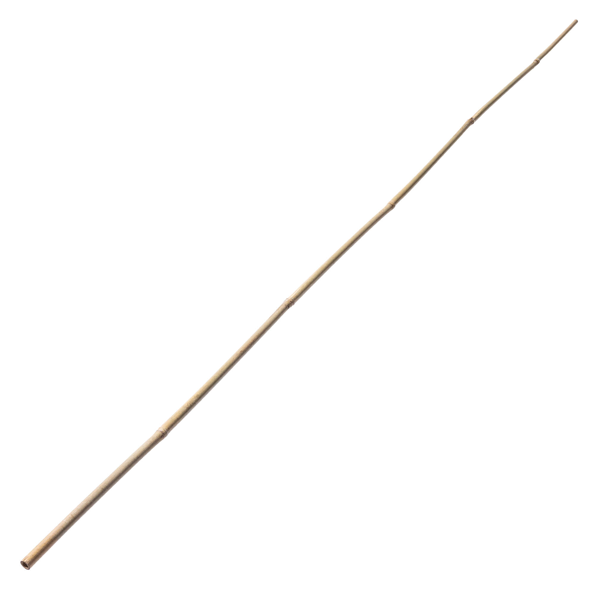 Bambusowa podpora ogrodowa Rai 180 cm x 14-16 mm 15 szt.