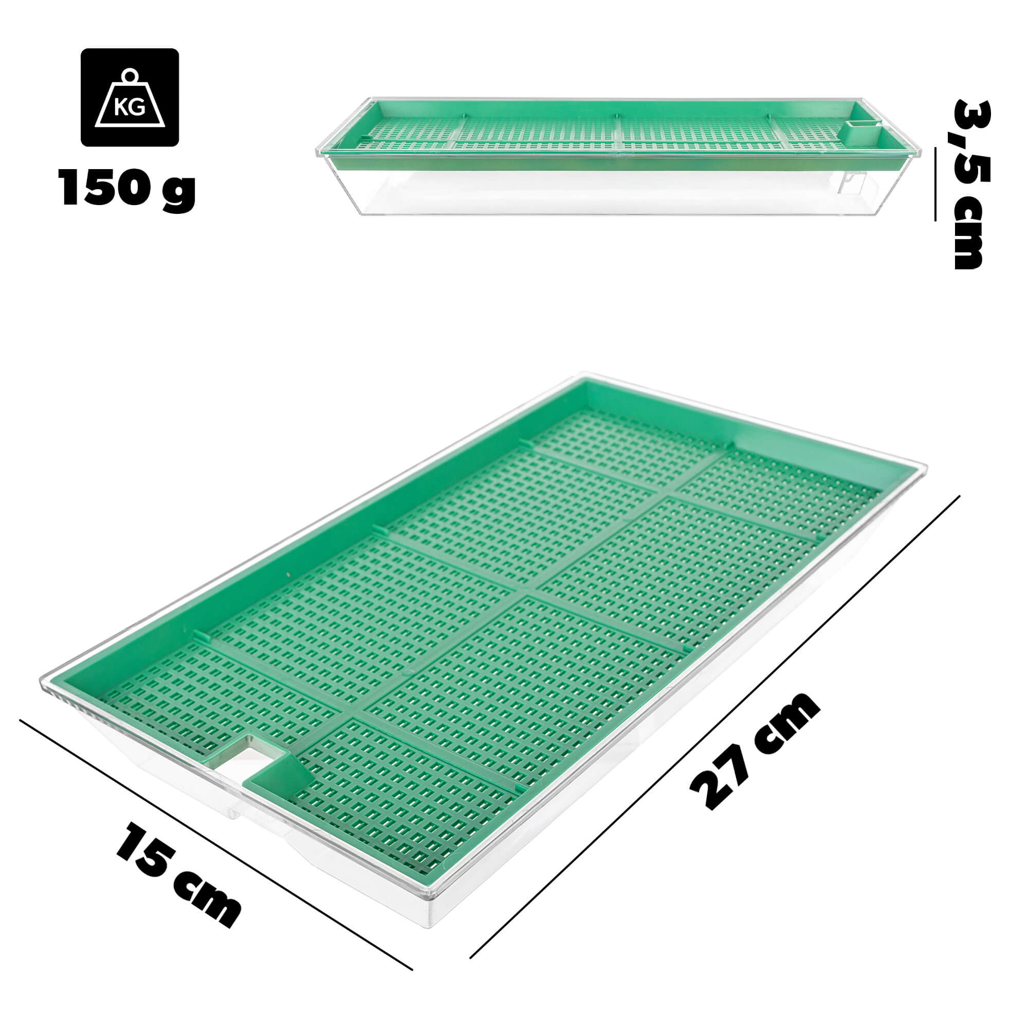 Kiełkownica Clion duża 27 x 15 cm zielona