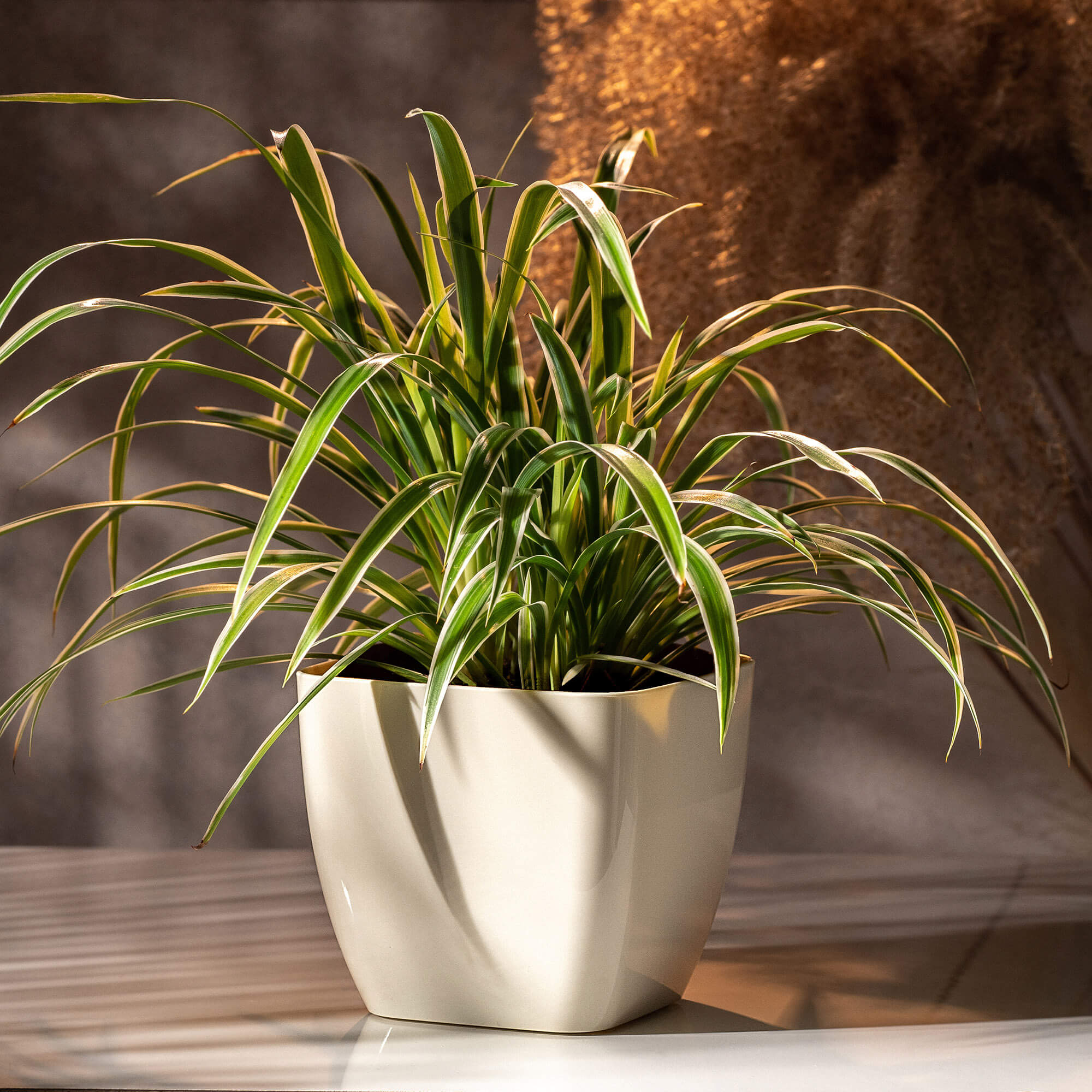 Doniczka kwadratowa Borgo 12 cm, kremowa