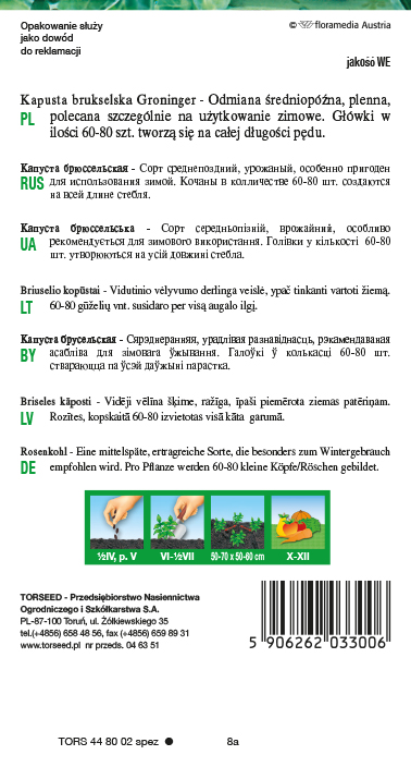 Kapusta brukselska Groninger 2g