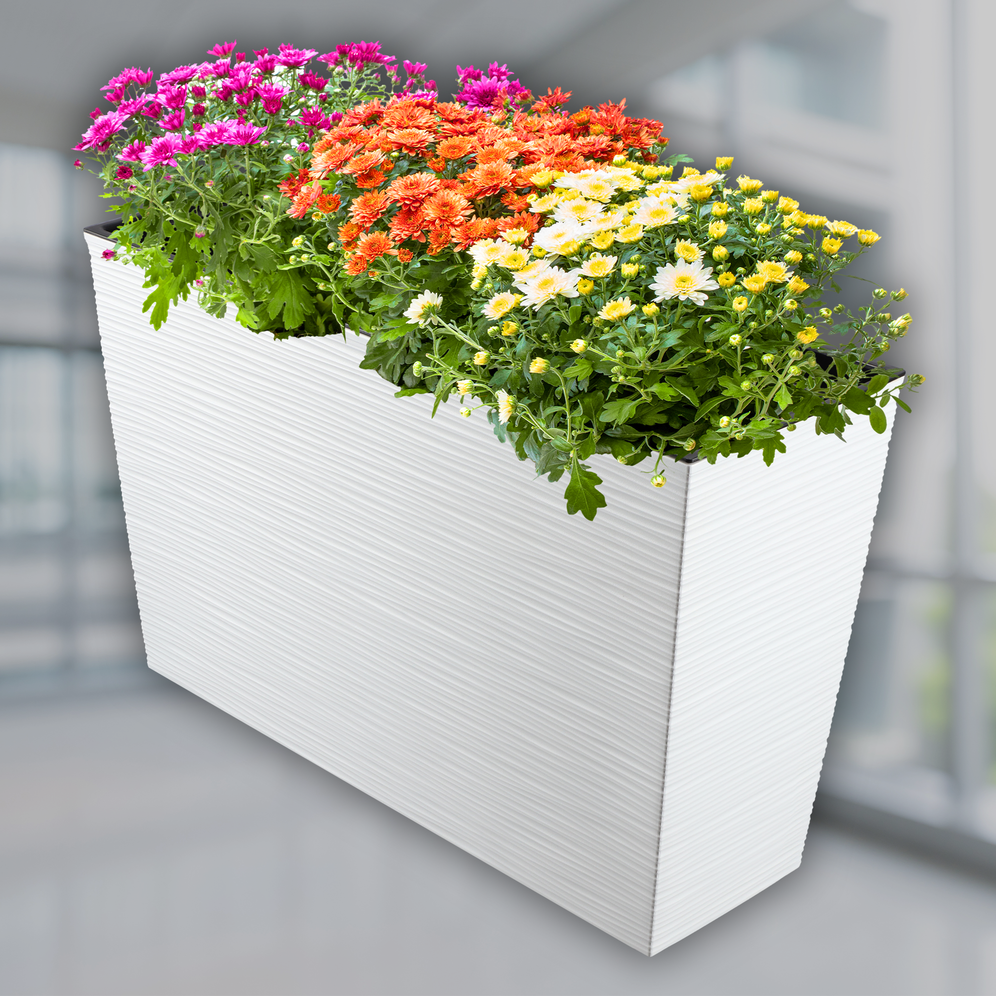 Donica ogrodowa Sorbo dłuto 56 x 19 cm, biały