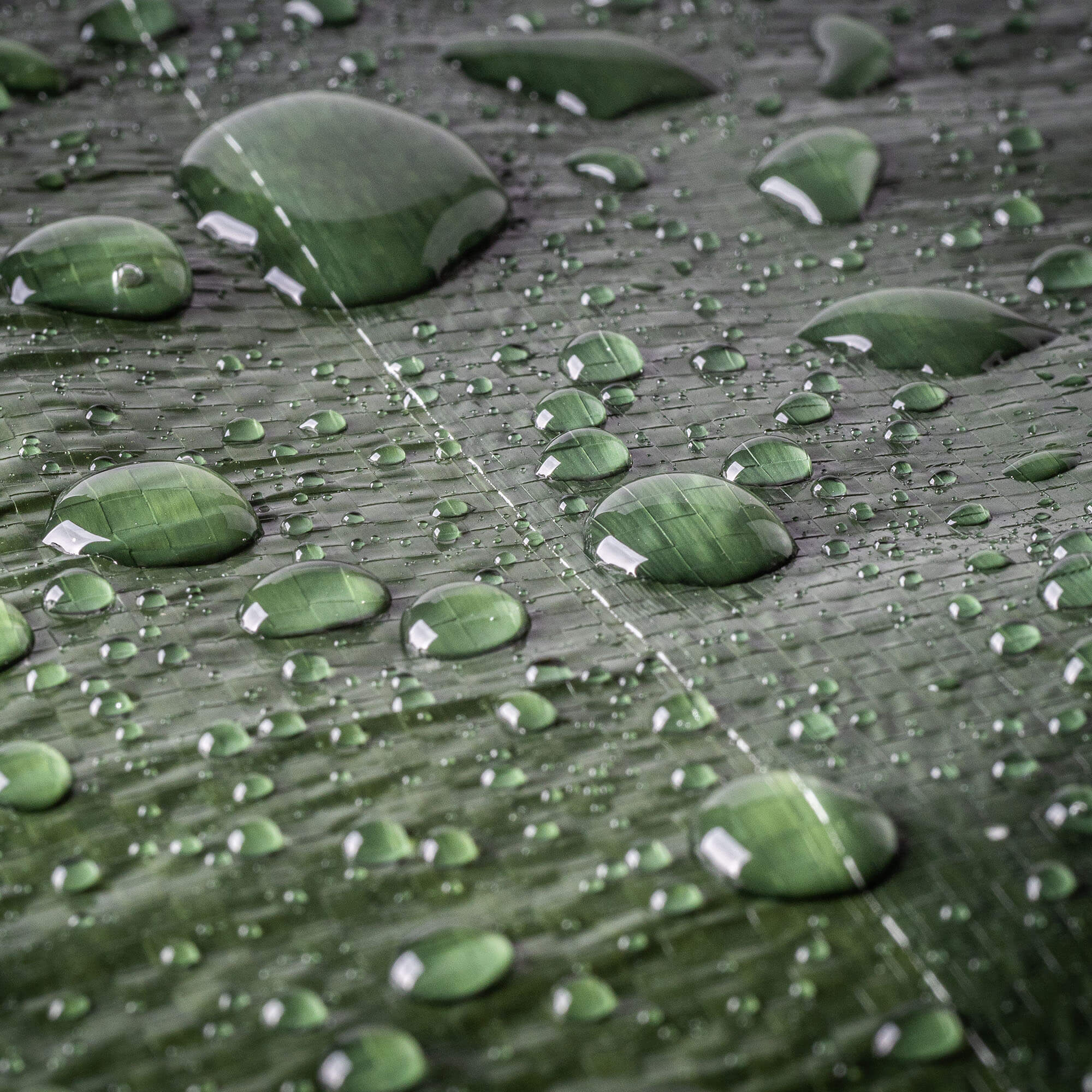 Plandeka okryciowa ogrodowa Korso 8 x 12 m zielona