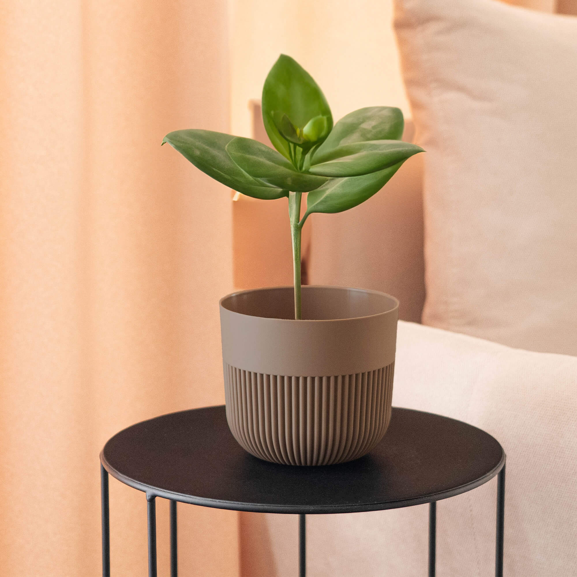 Doniczka osłonka Ornon 11 cm beż