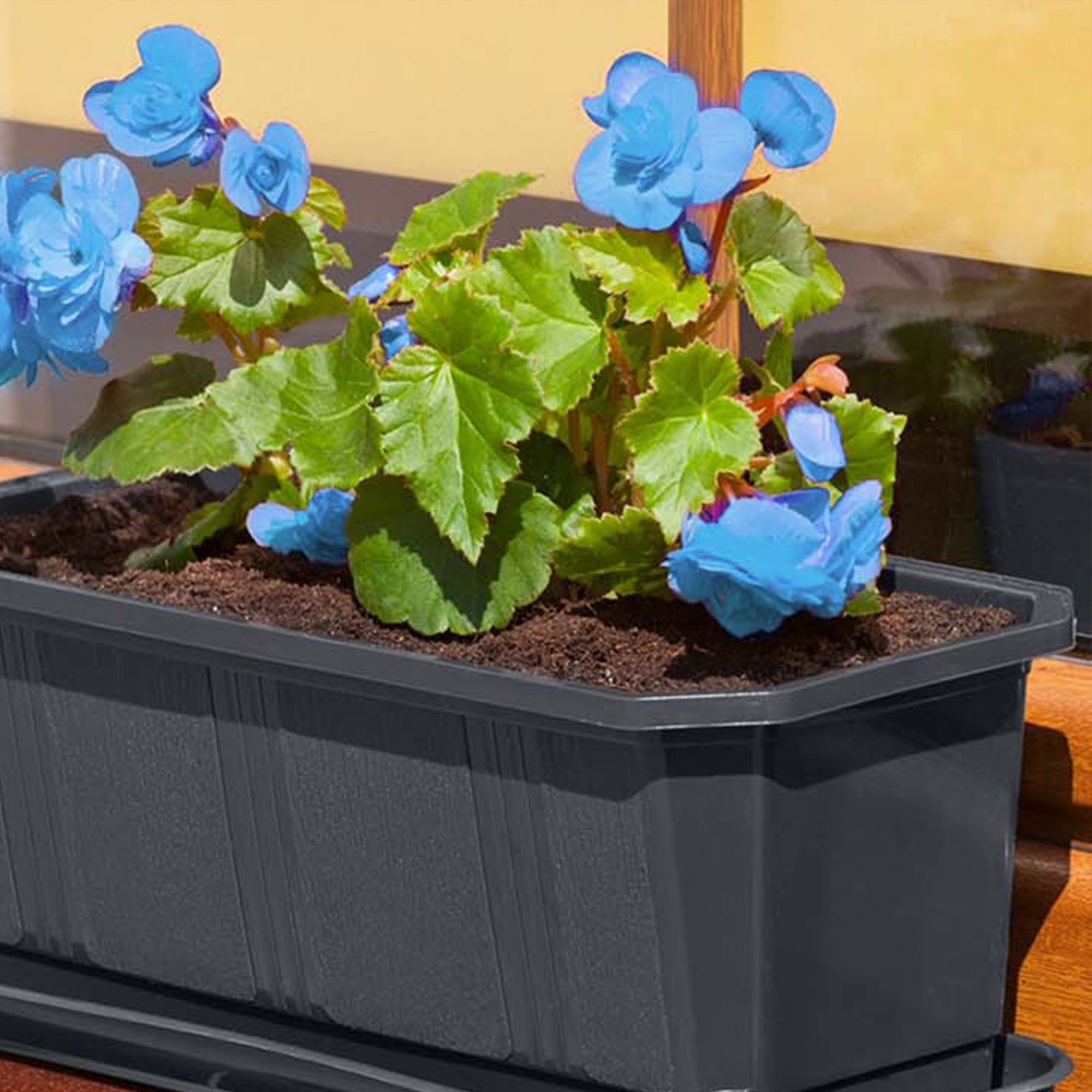 Doniczka balkonowa z uchwytami Oste 40 cm + 60 cm, grafit