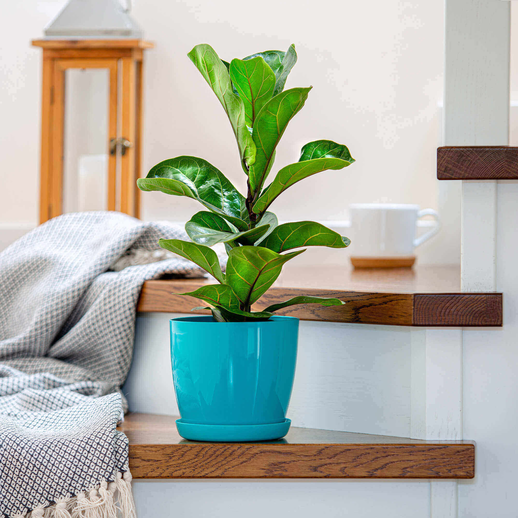 Doniczka na kwiaty z podstawką 12 cm, turkusowa