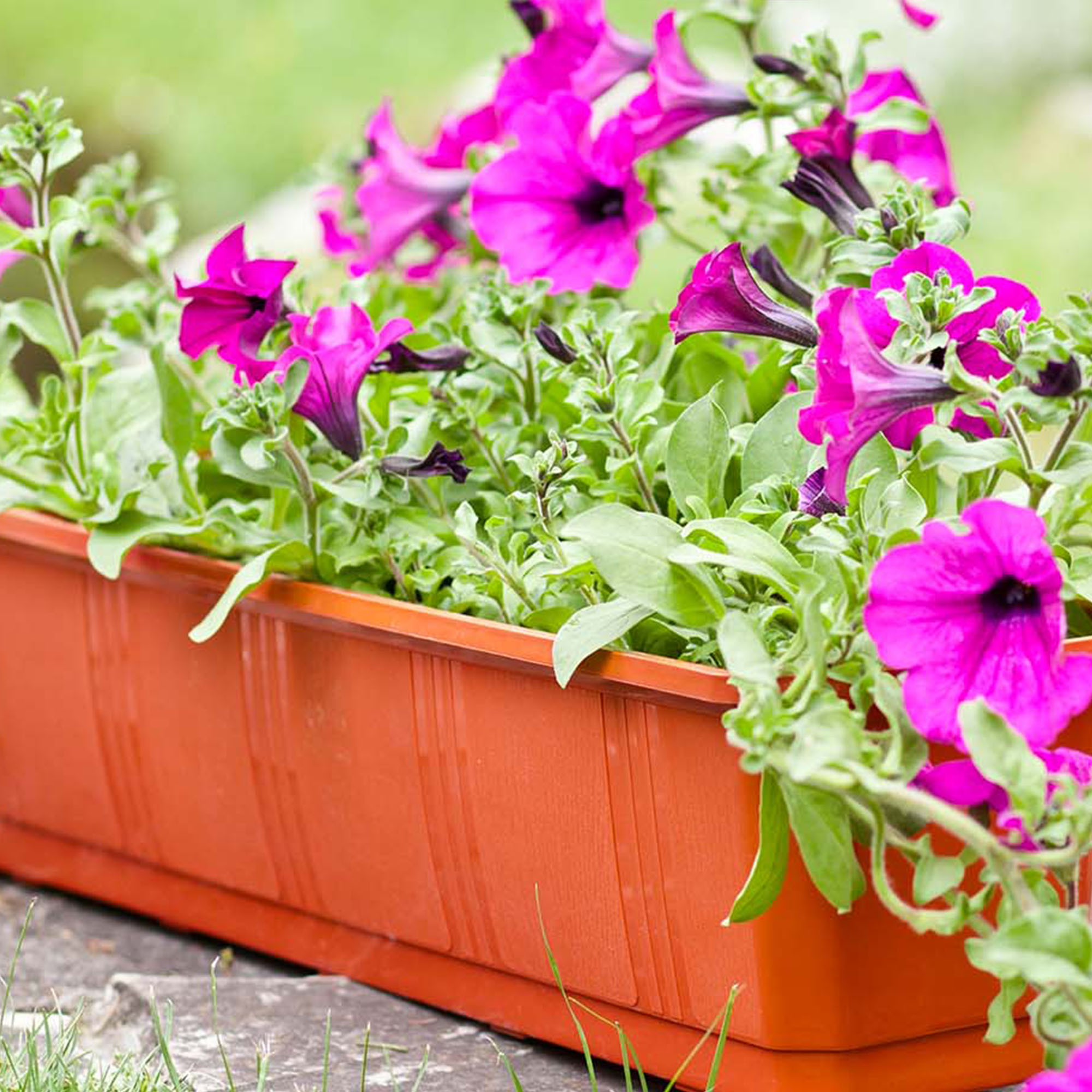 Doniczka balkonowa z uchwytami terakota Oste 40 cm, 4 szt.