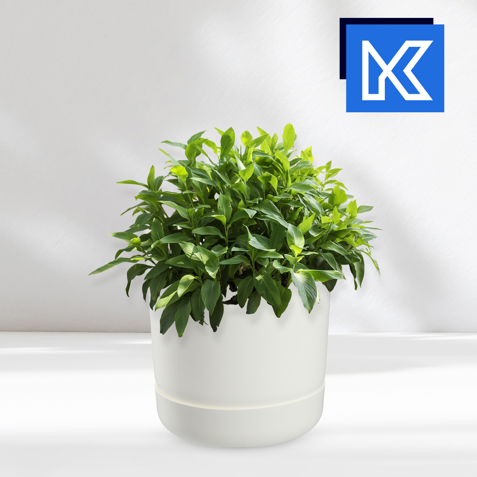 Doniczka Kama z podstawką 17 cm, biała