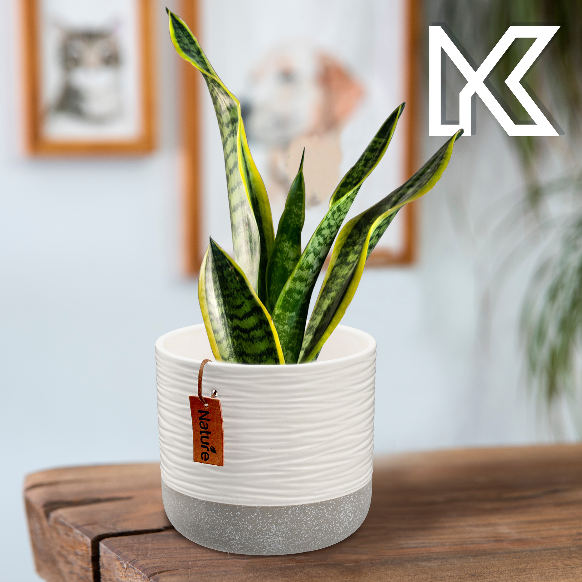 Osłonka ceramiczna Pokka 14 x 15 cm, biała