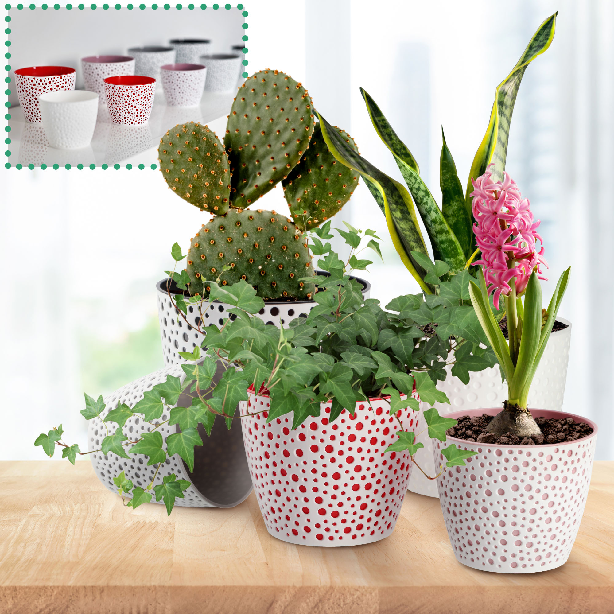 Doniczka na kwiaty Casini 11 cm, szara