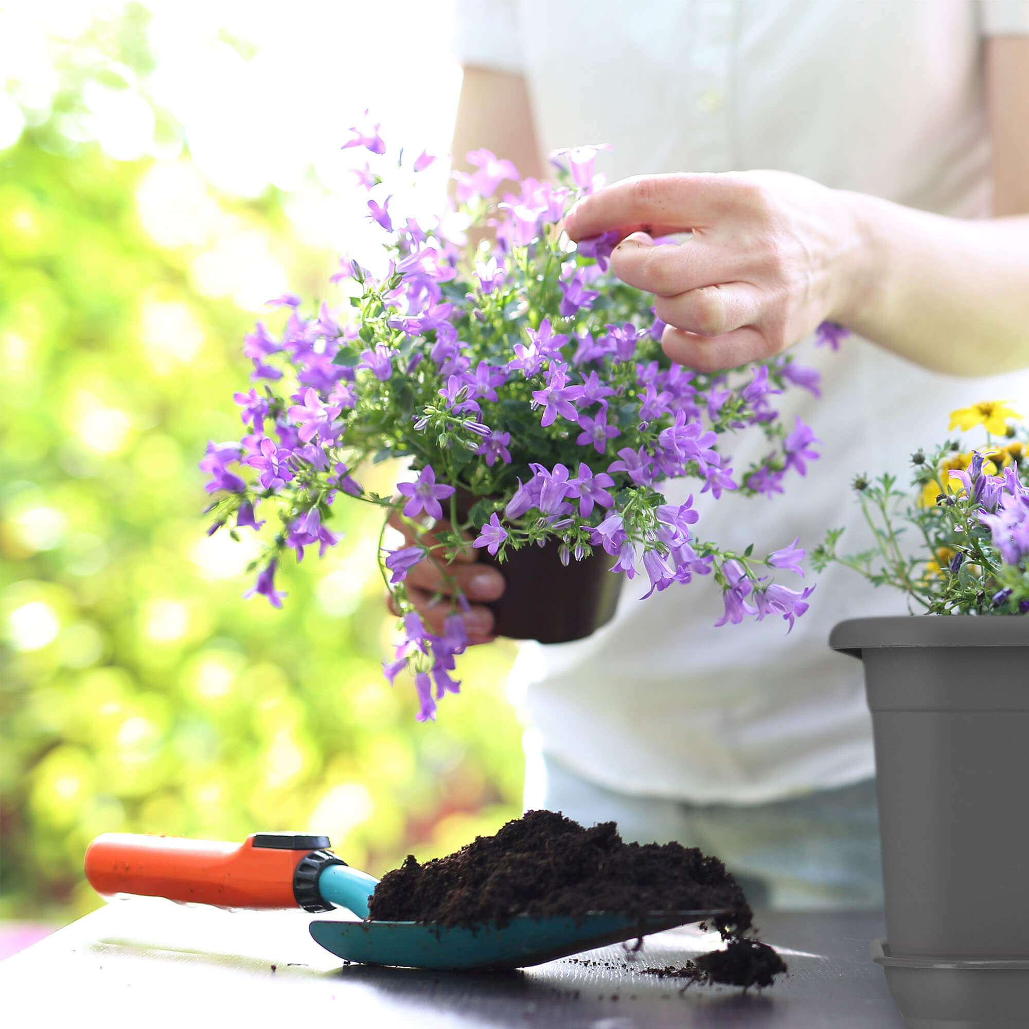Podstawka na skrzynkę balkonową Evron 80 cm, antracyt