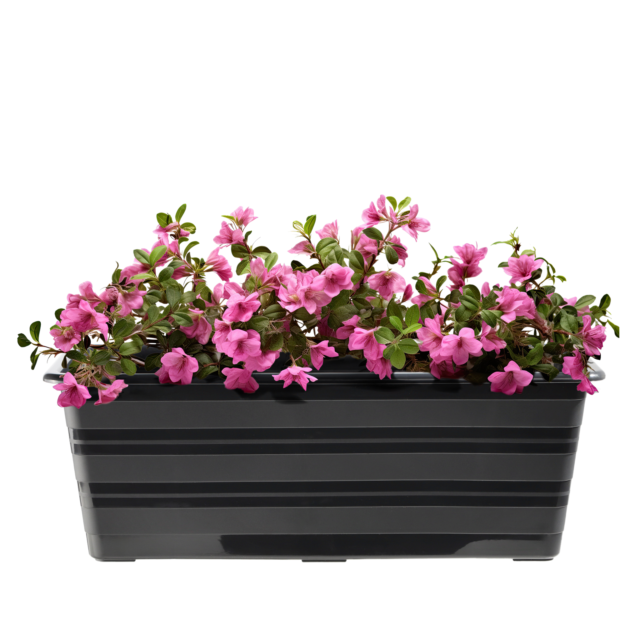 Doniczka balkonowa Cati 40 cm + podstawka 40 cm, antracyt