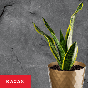 Doniczka na kwiaty z podstawką Amily 16 cm, złota