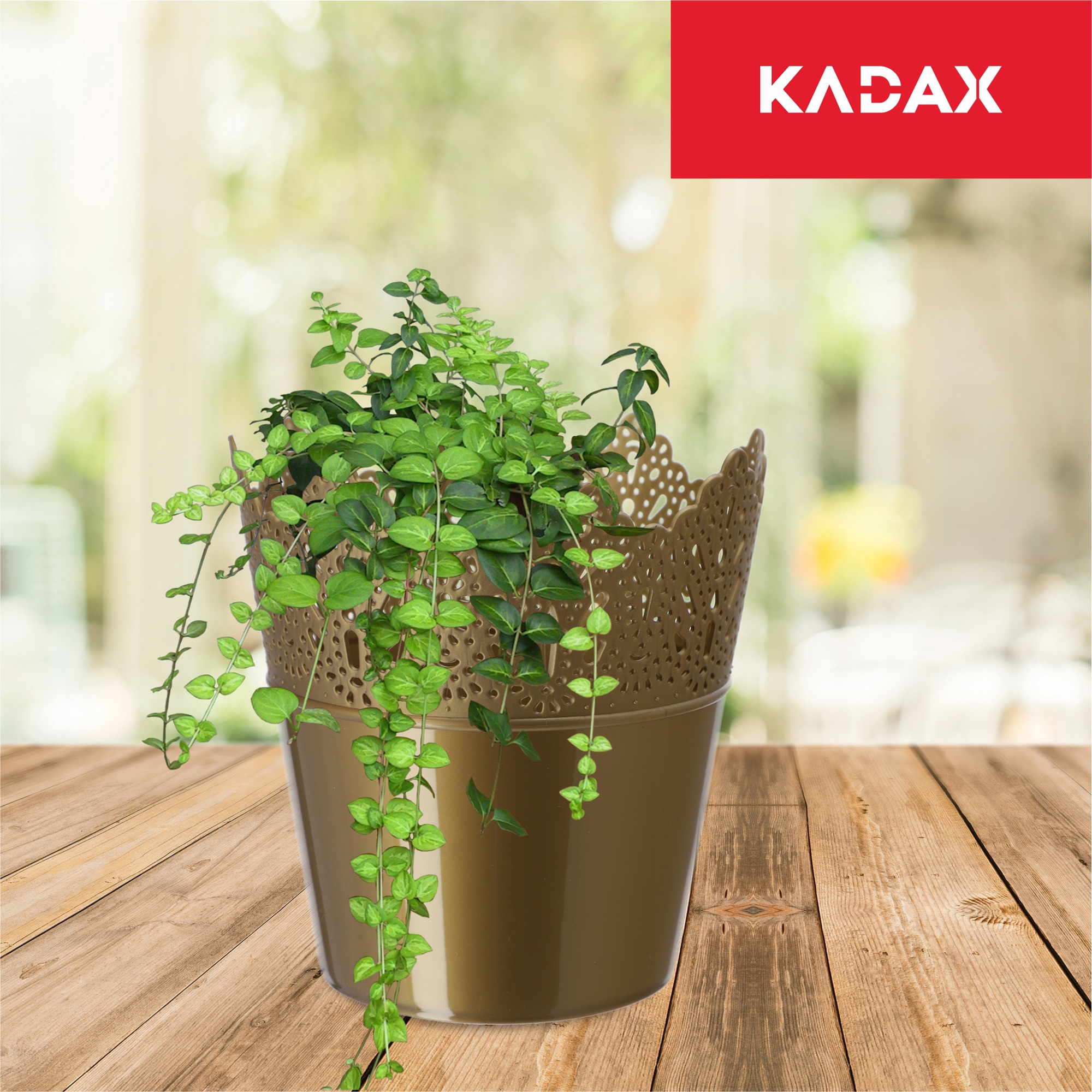 Doniczka Calade na kwiaty z koronką 12 x 11 cm, złota