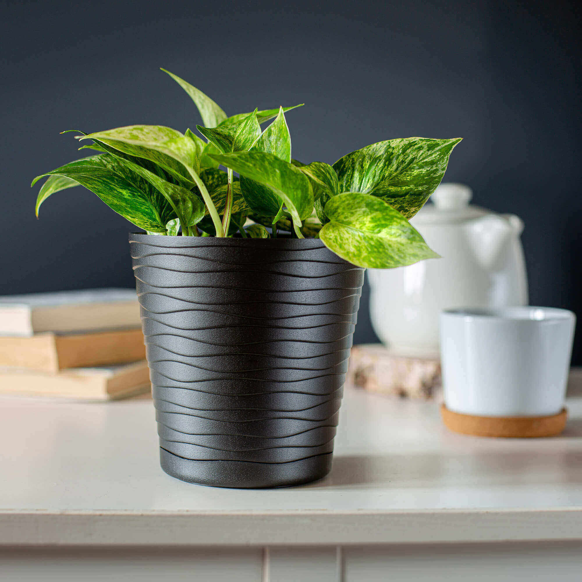 Doniczka z podstawką Greve 13 cm, czarna