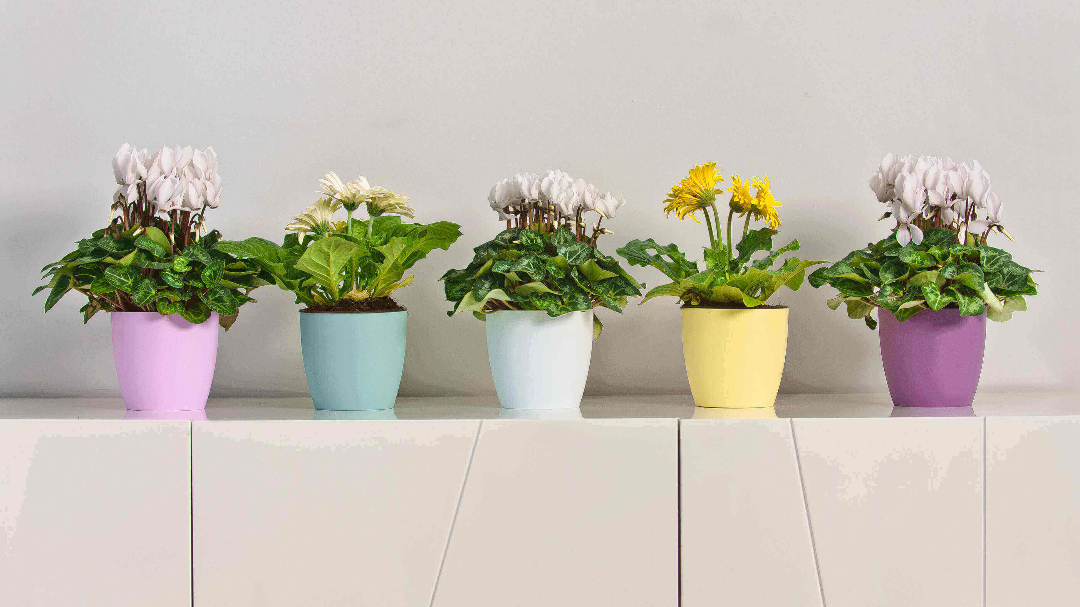 Doniczka Agen z podstawką 18 cm, matowa różowa