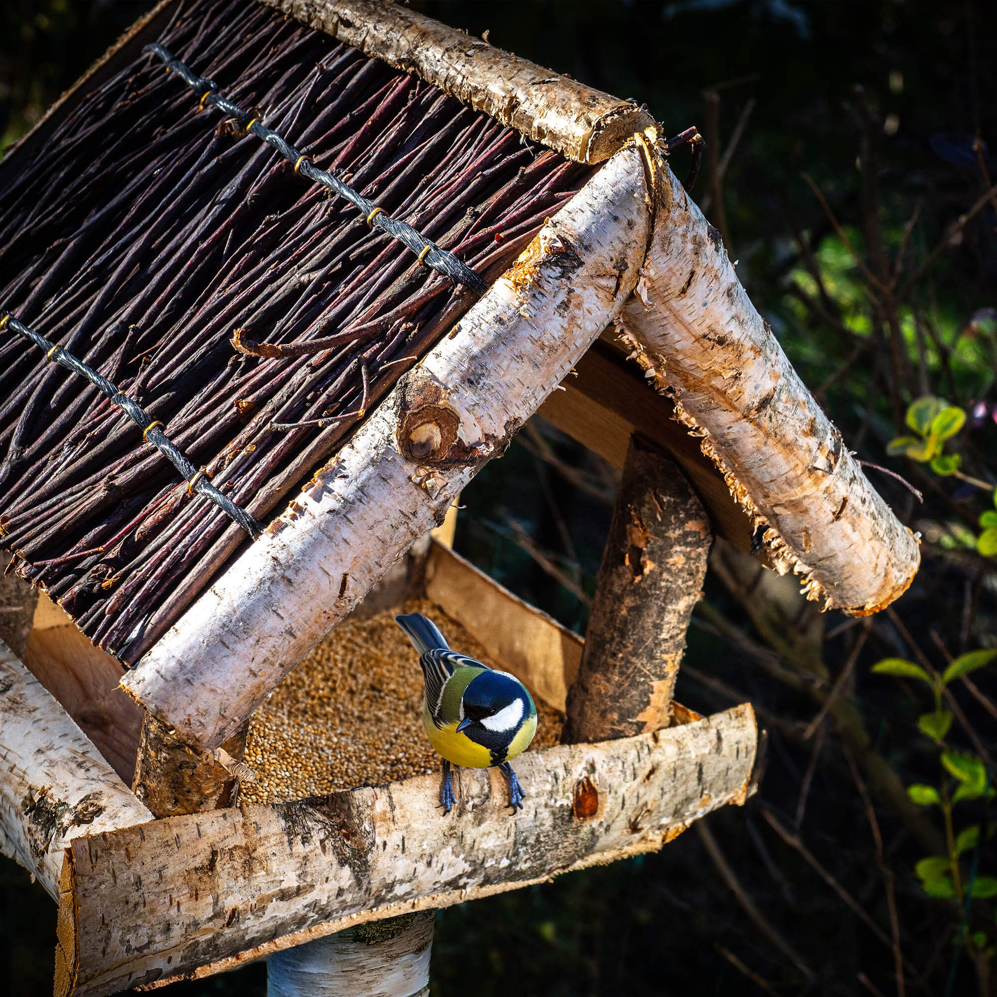 Karmnik dla ptaków z brzozy Revel 26 x 25 cm