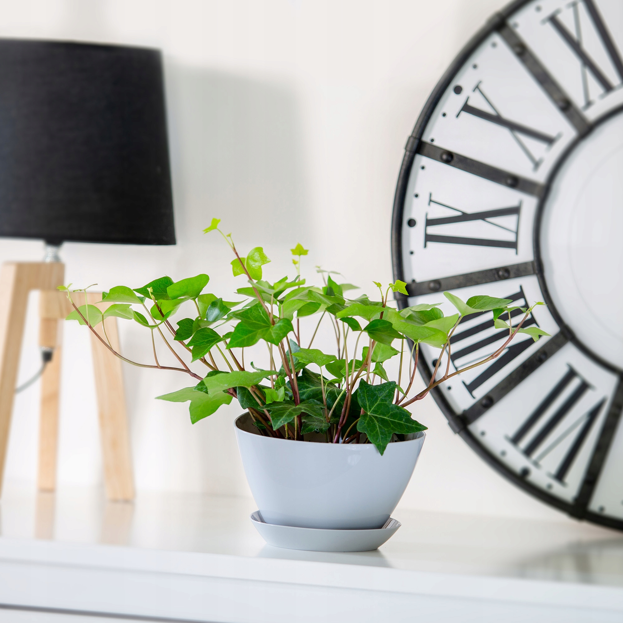 Doniczka trójkątna z podstawką 14 x 10 cm, kremowa