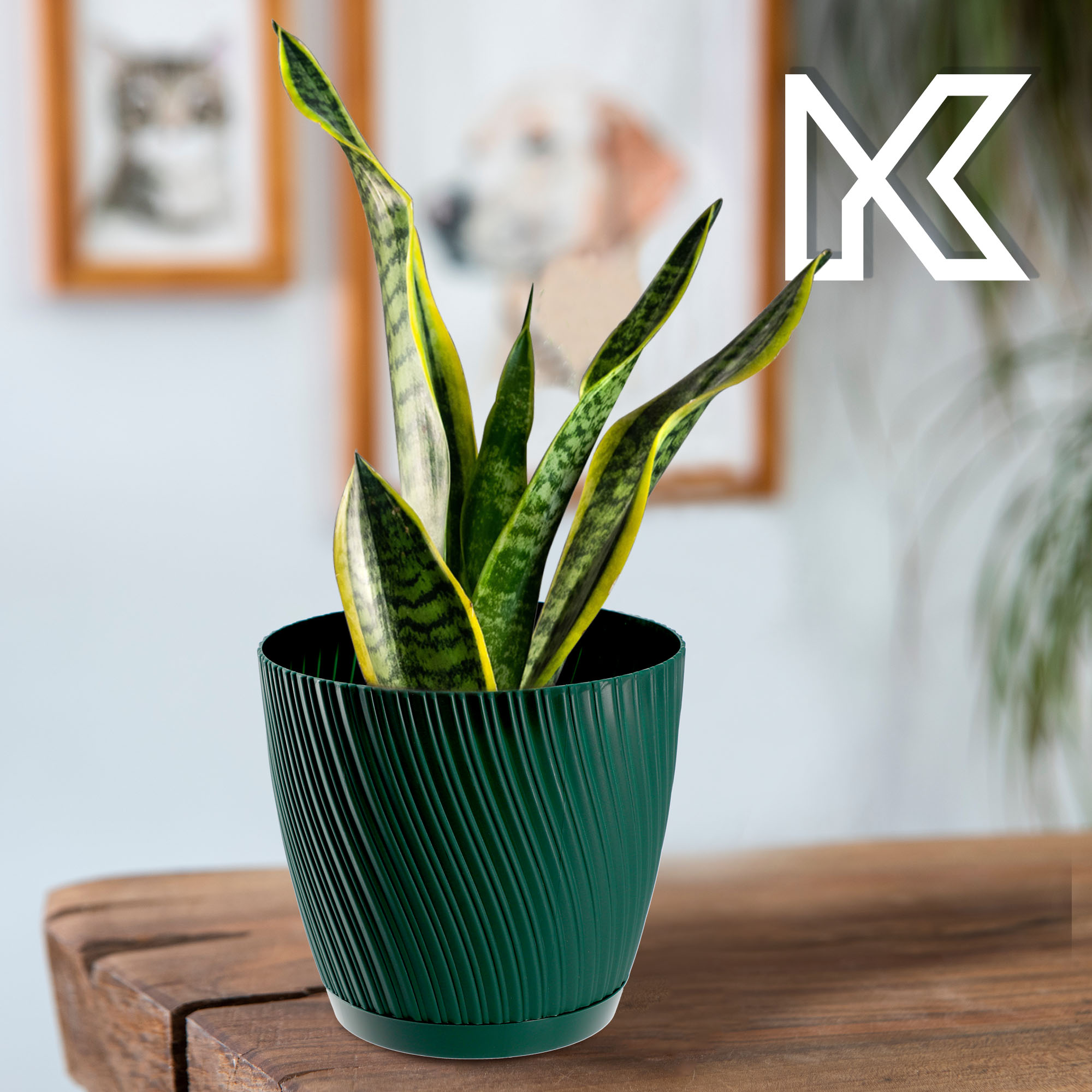 Doniczka z podstawką Tubas 23 cm, zielona