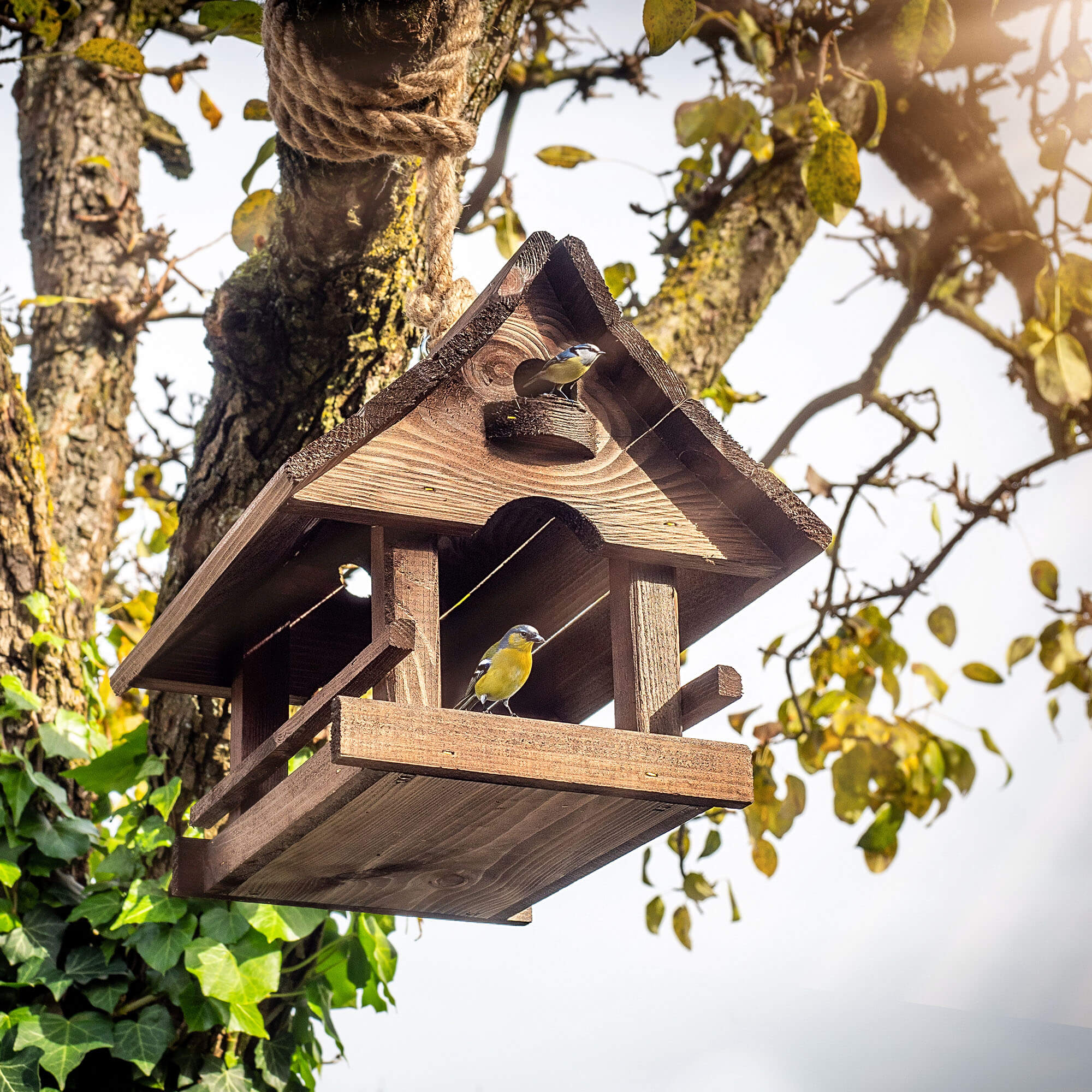 Karmnik dla ptaków Arbis domek 30 x 25 cm brązowy
