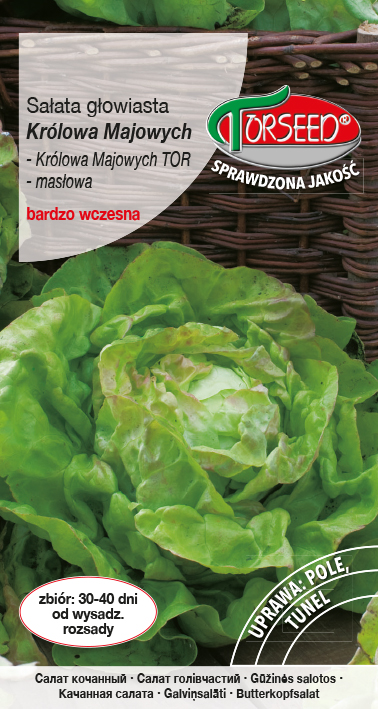 Sałata głowiasta masłowa (do uprawy w tunelach i w polu) Królowa Majowych 2g