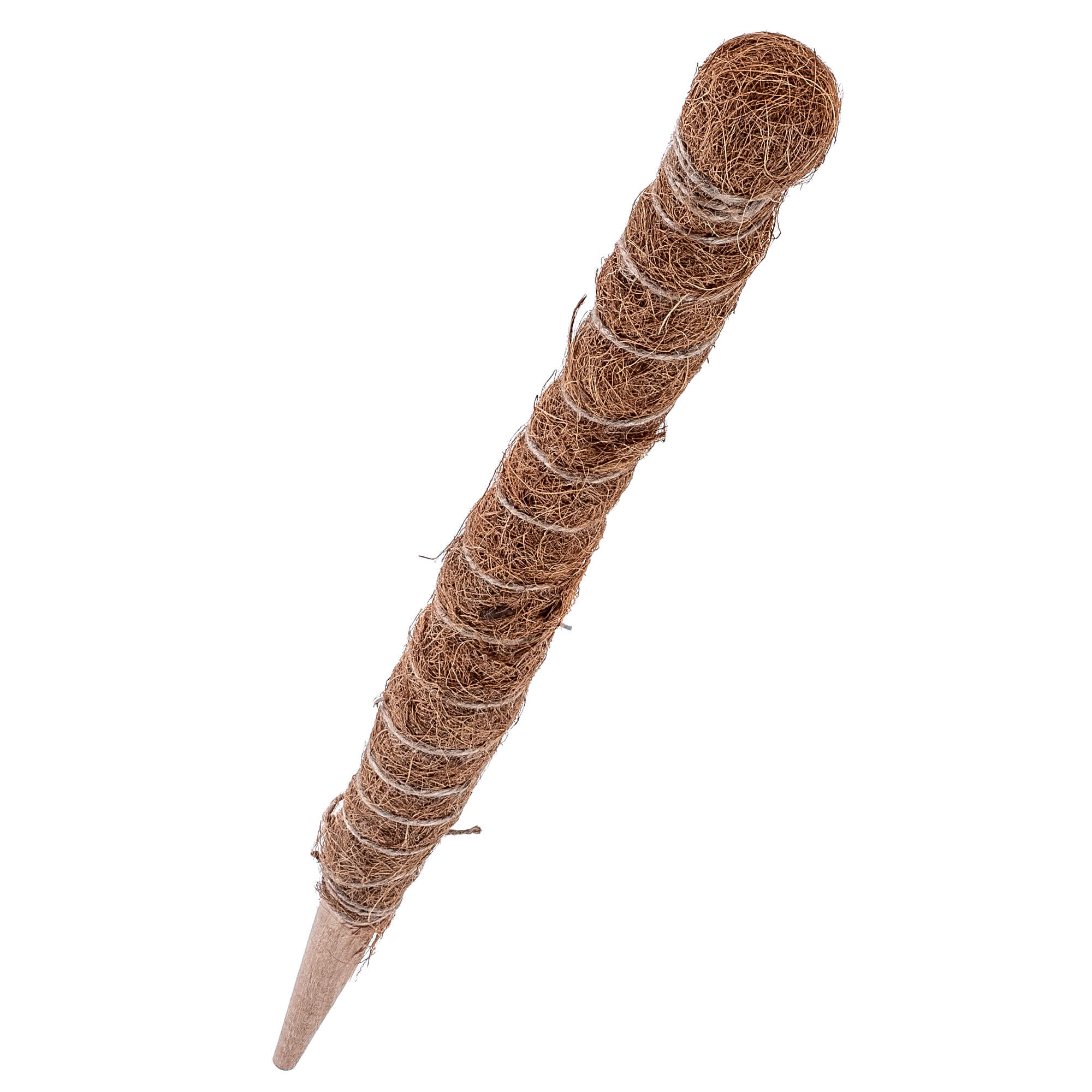 Tyczka do roślin kokosowa Cande 60 cm podpora doniczkowa 4 szt.