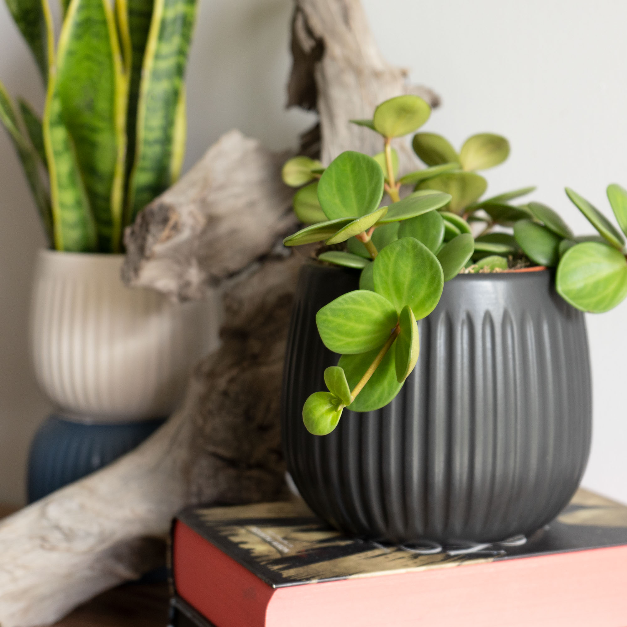 Osłonka ceramiczna Vario 12 cm, czarna