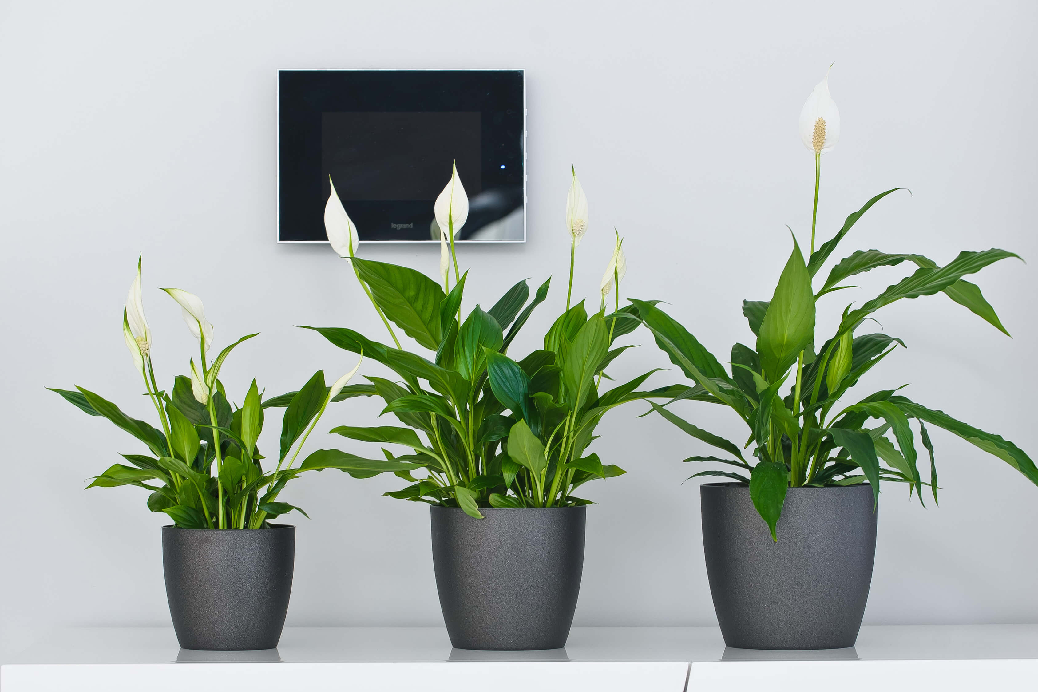 Doniczka Agen z podstawką 18 cm, matowa grafitowa