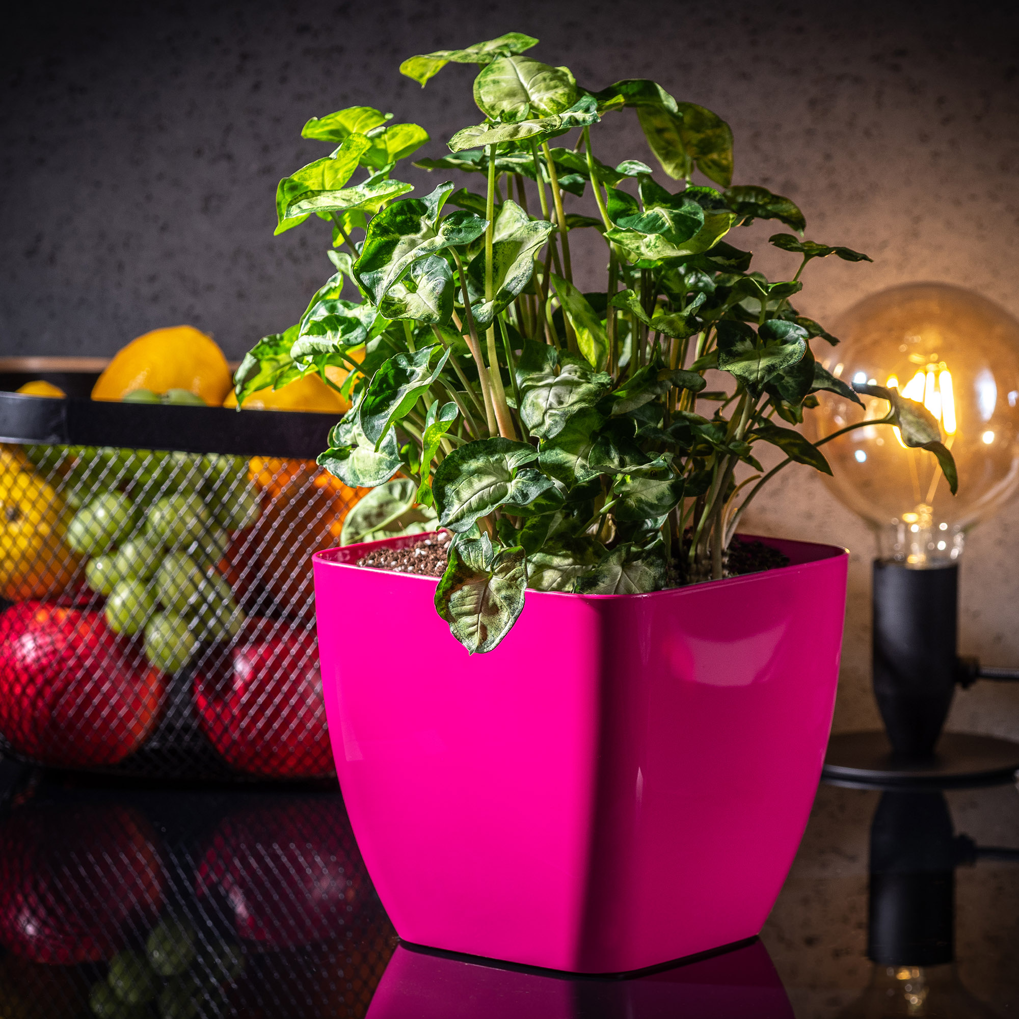 Doniczka kwadratowa Borgo 16 cm, różowa