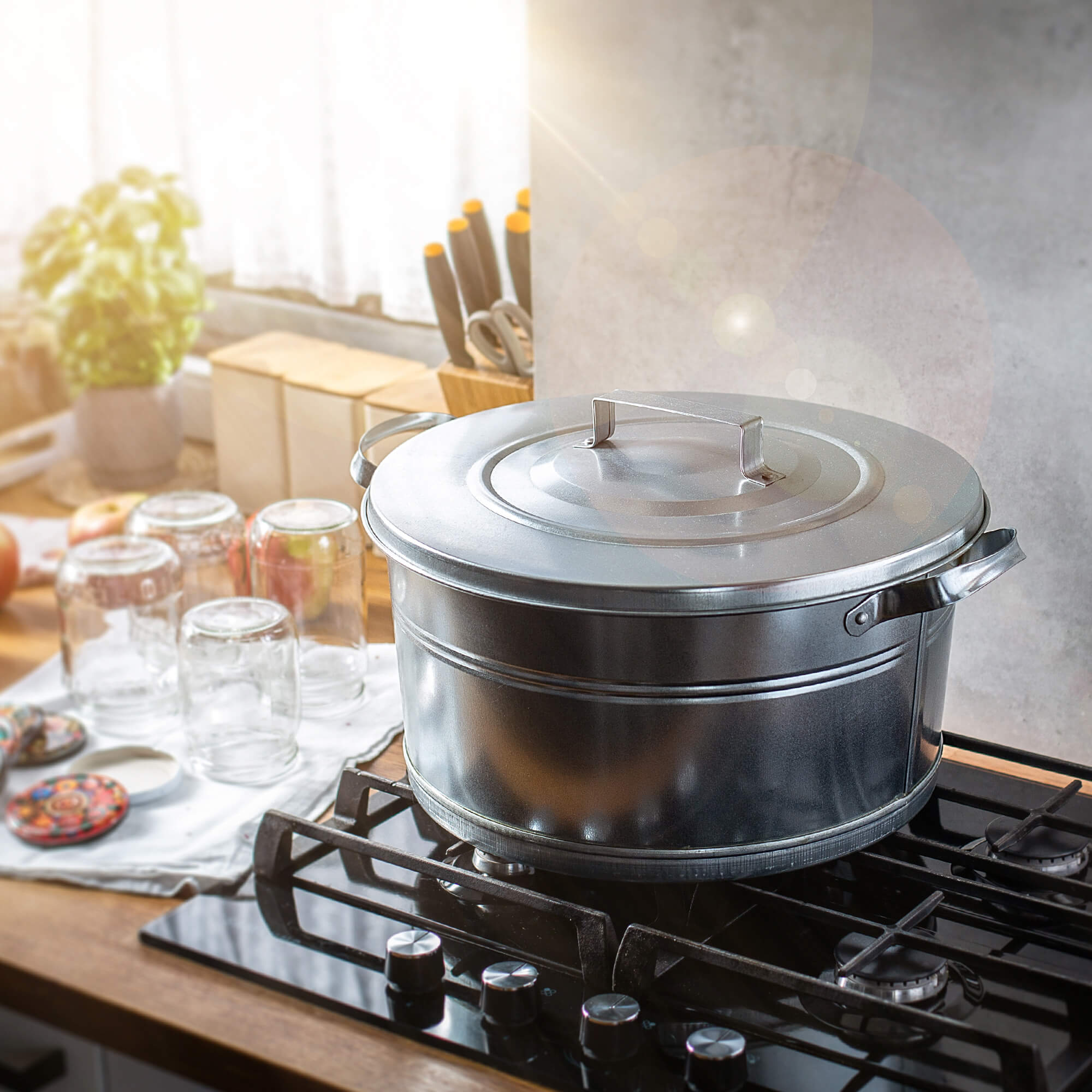 Garnek stalowy do pasteryzacji Morro 20L