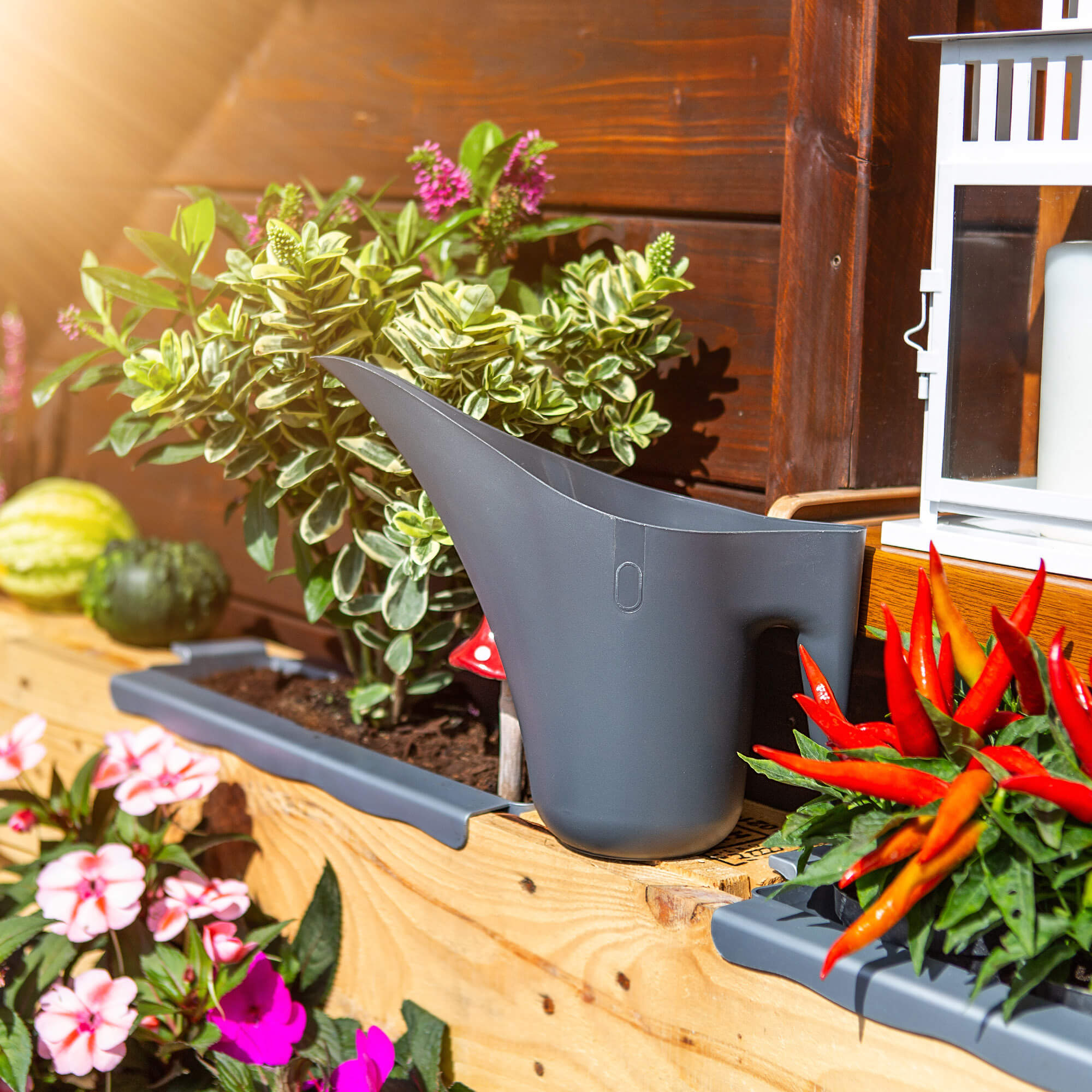 Konewka do podlewania roślin Klofta 1.2L, antracyt