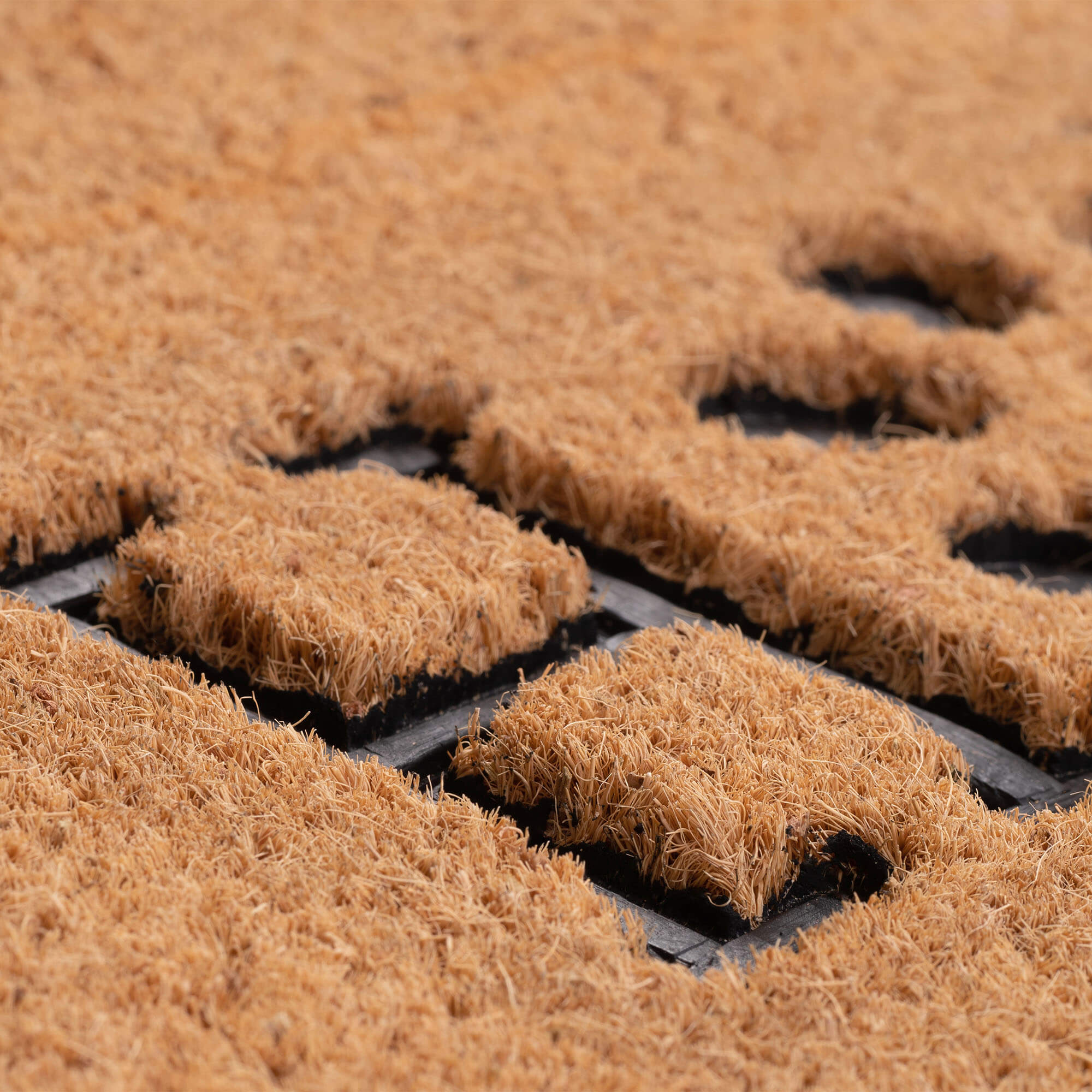 Wycieraczka pod drzwi „Home" z łapką 60 x 40 cm, brązowa