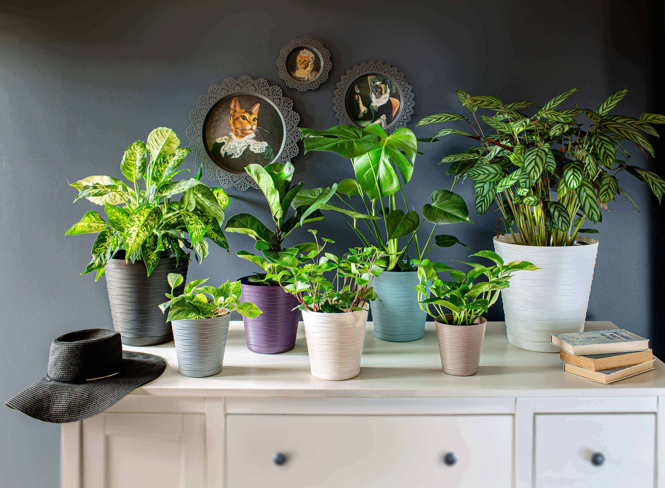 Doniczka z podstawką Greve 13 cm, czarna