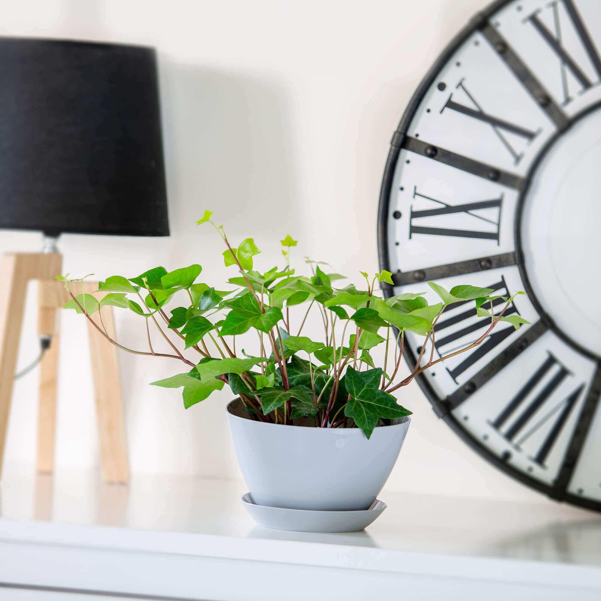 Doniczka trójkątna z podstawką 23 x 16 cm, szara